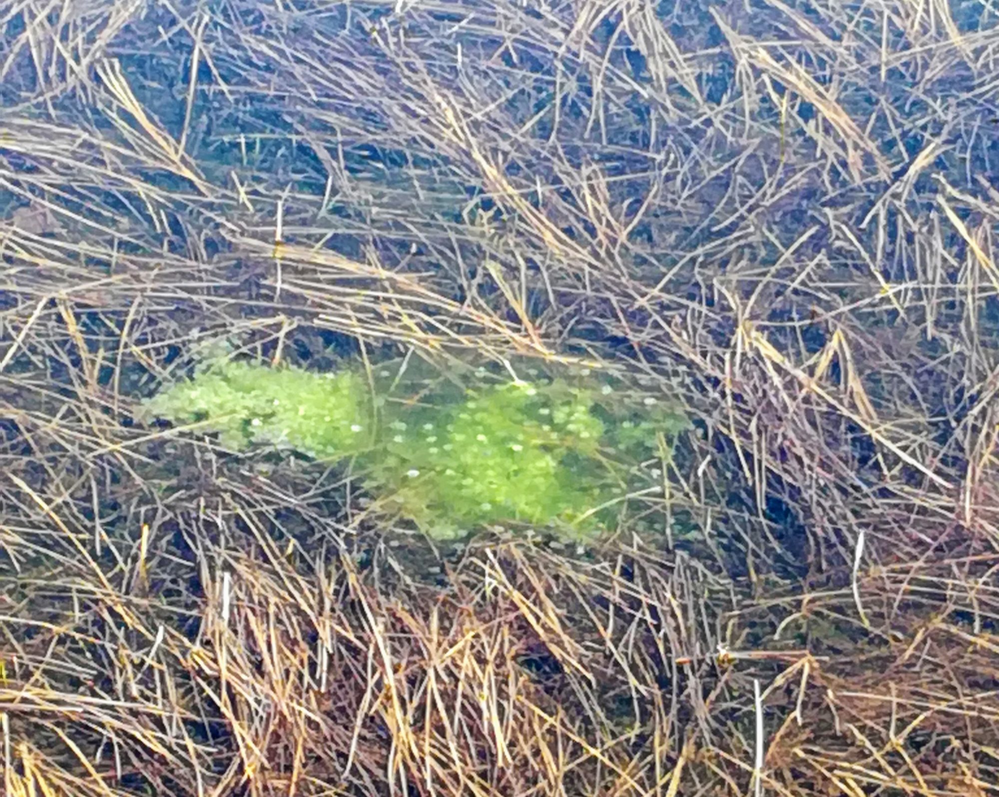 Valokuvaaja: Marketta Kokko