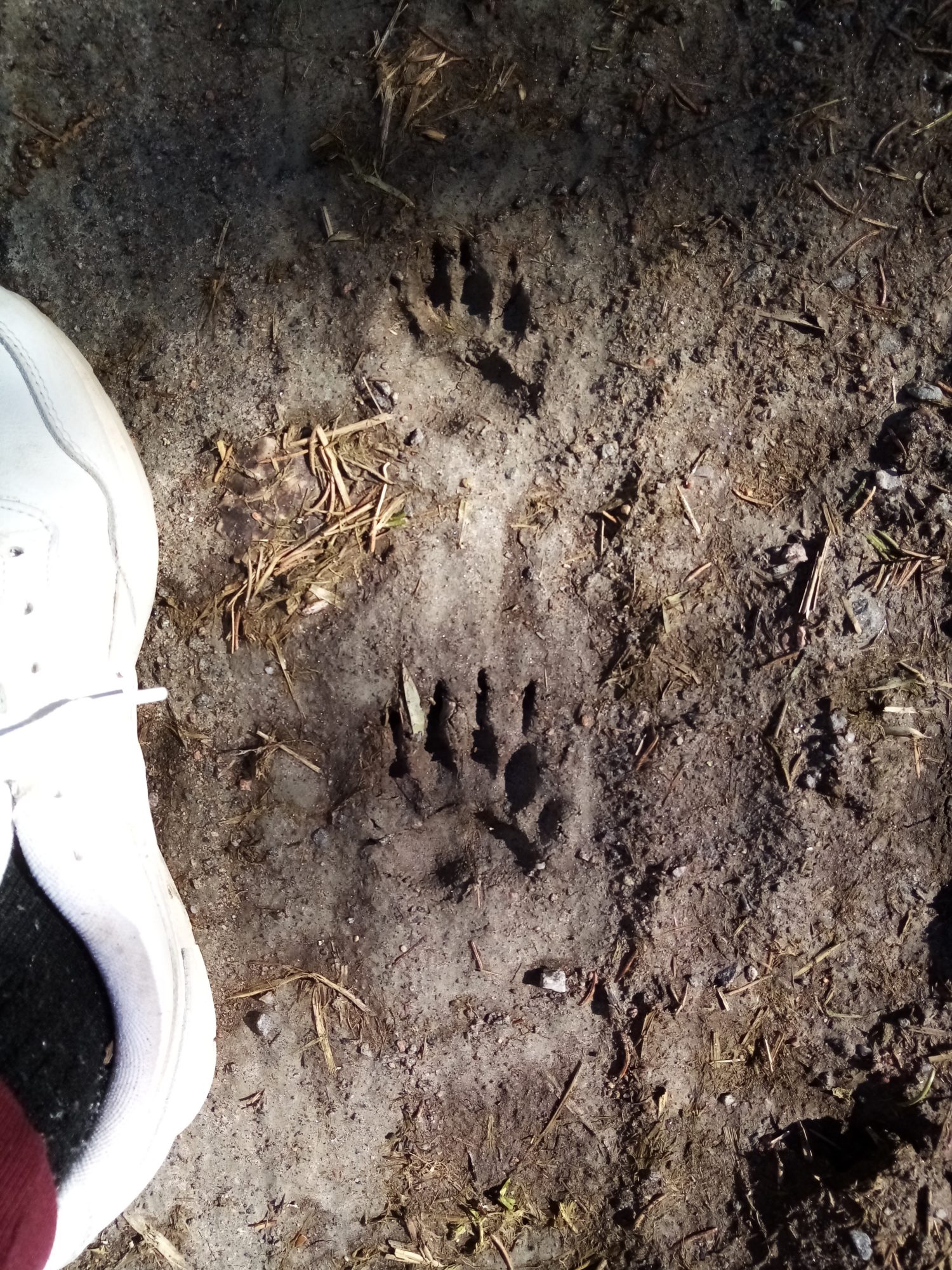 Valokuvaaja: Aino Sinikka Timonen Valokuvaaja: Aino Sinikka Timonen