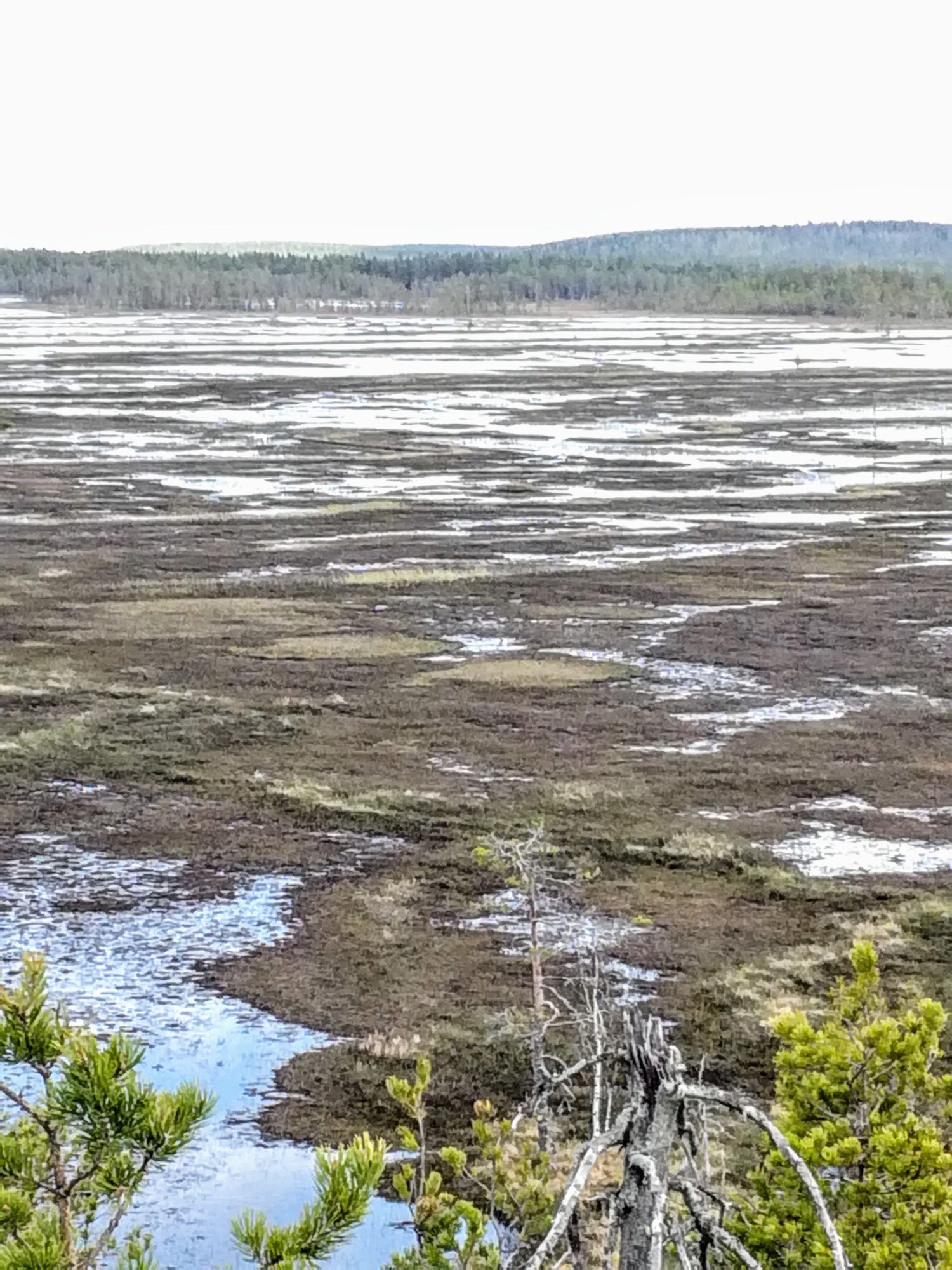 Valokuvaaja: Marketta Kokko