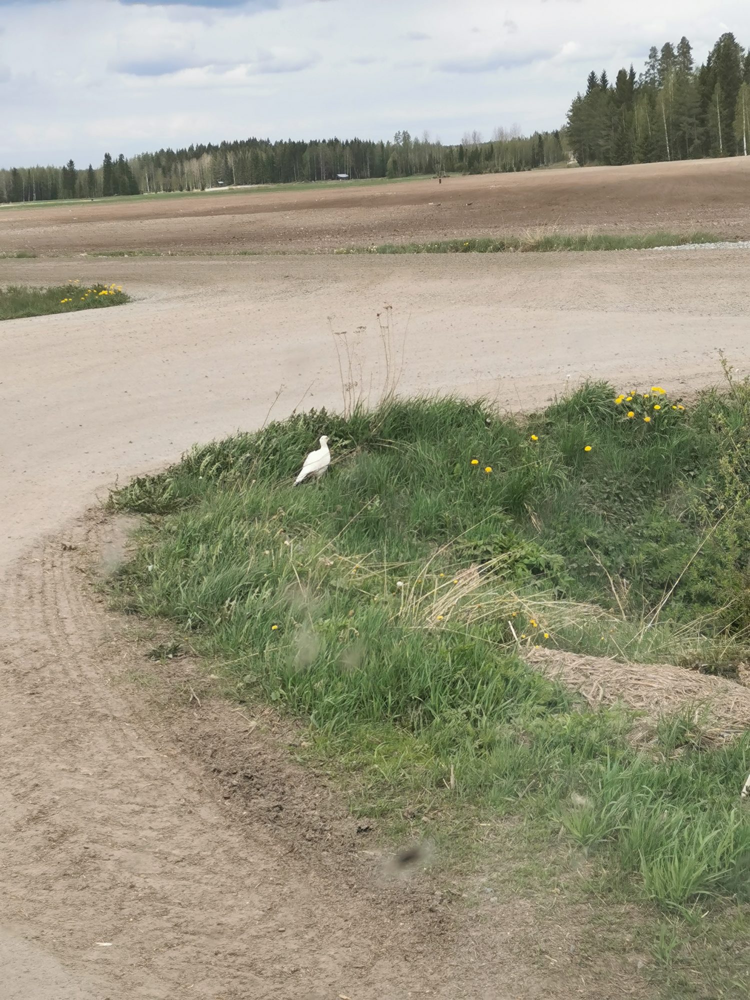 Valokuvaaja: Samuli Viitanen