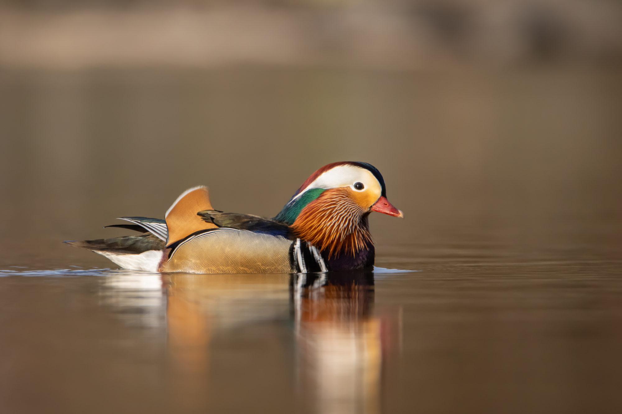 Valokuvaaja: Laura Lehtola