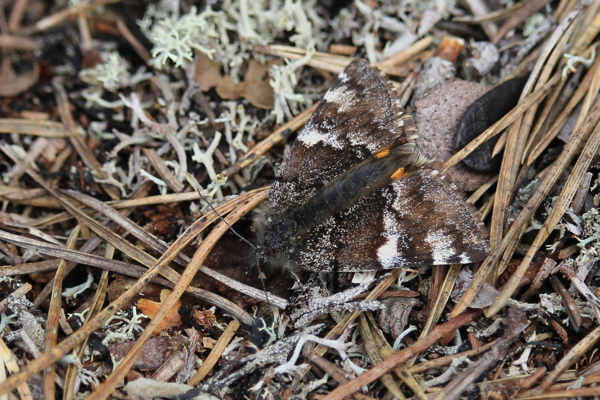 Valokuvaaja: Kirsi-Marja Joenpolvi