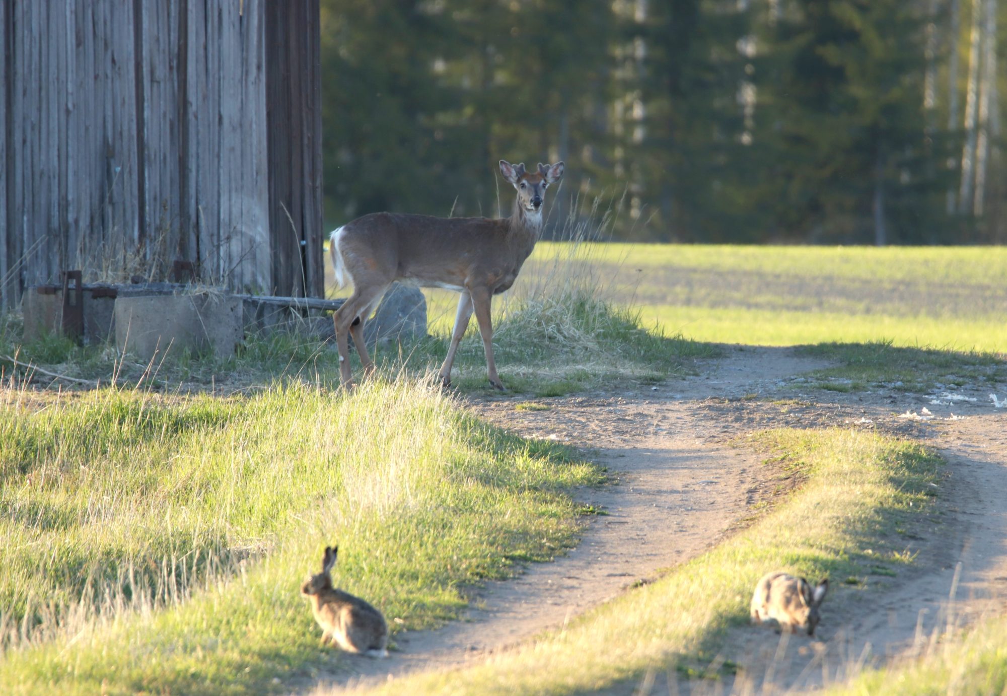 Valokuvaaja: Irja Lehtinen