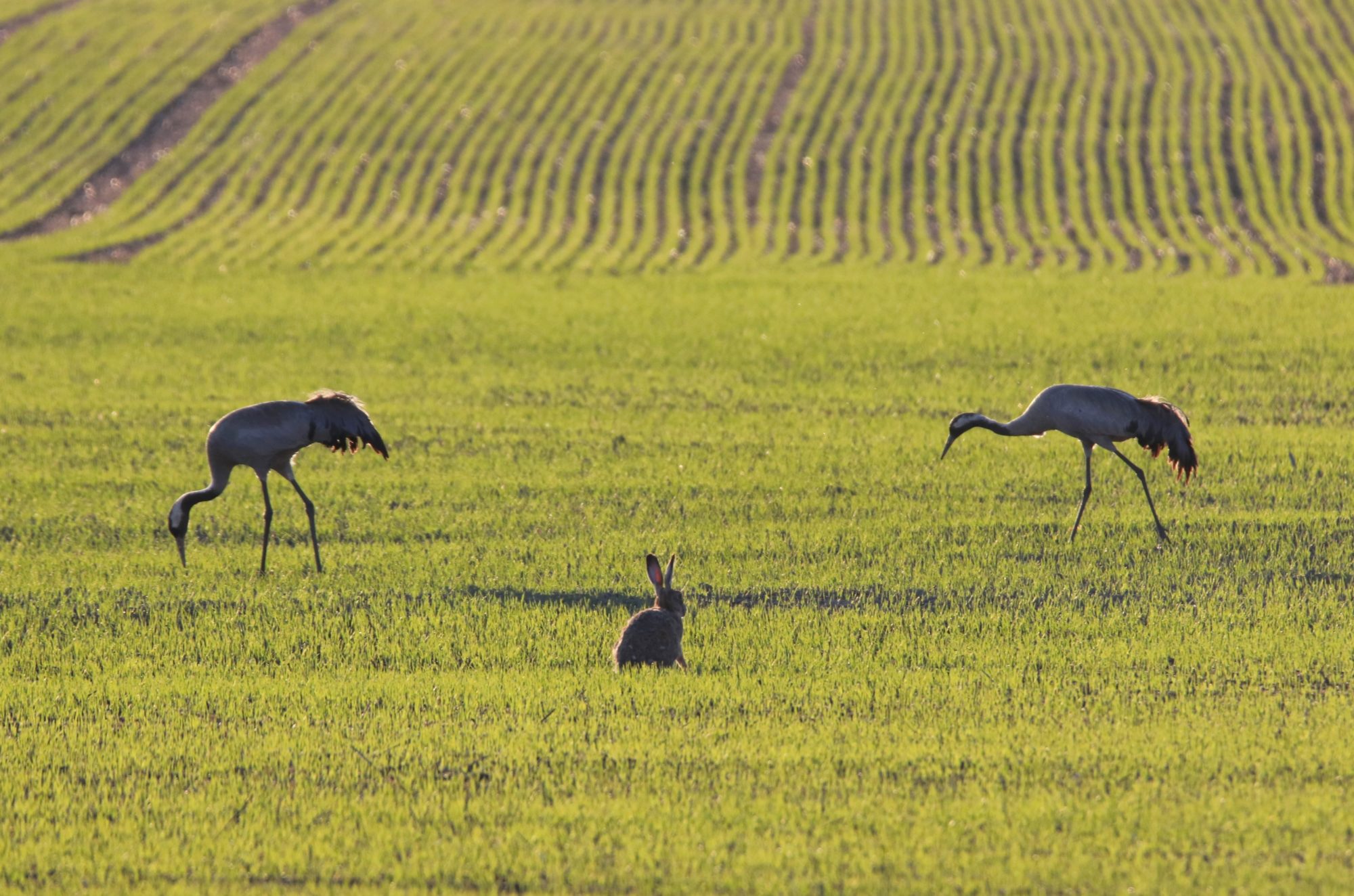 Valokuvaaja: Irja Lehtinen