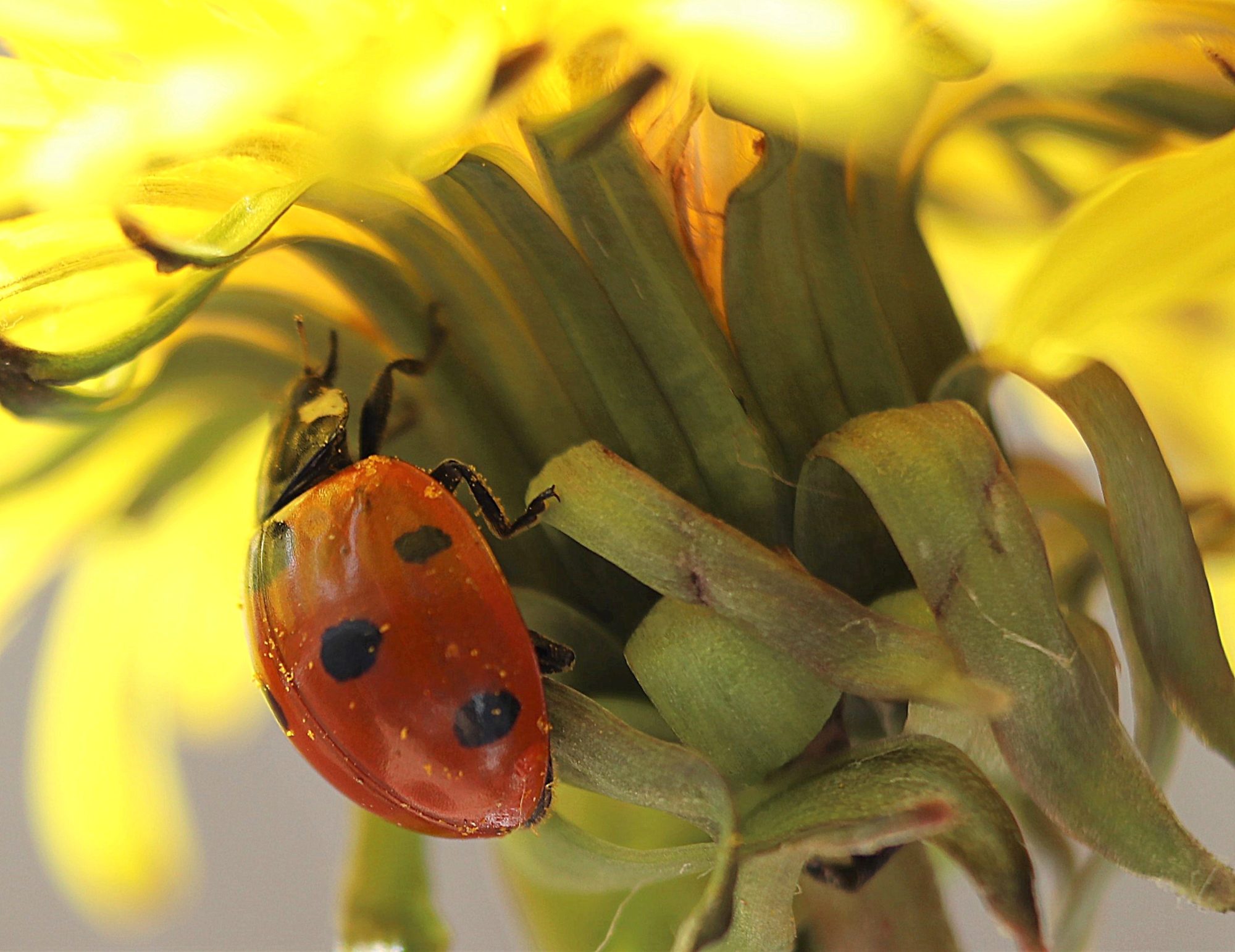 Valokuvaaja: Irja Lehtinen