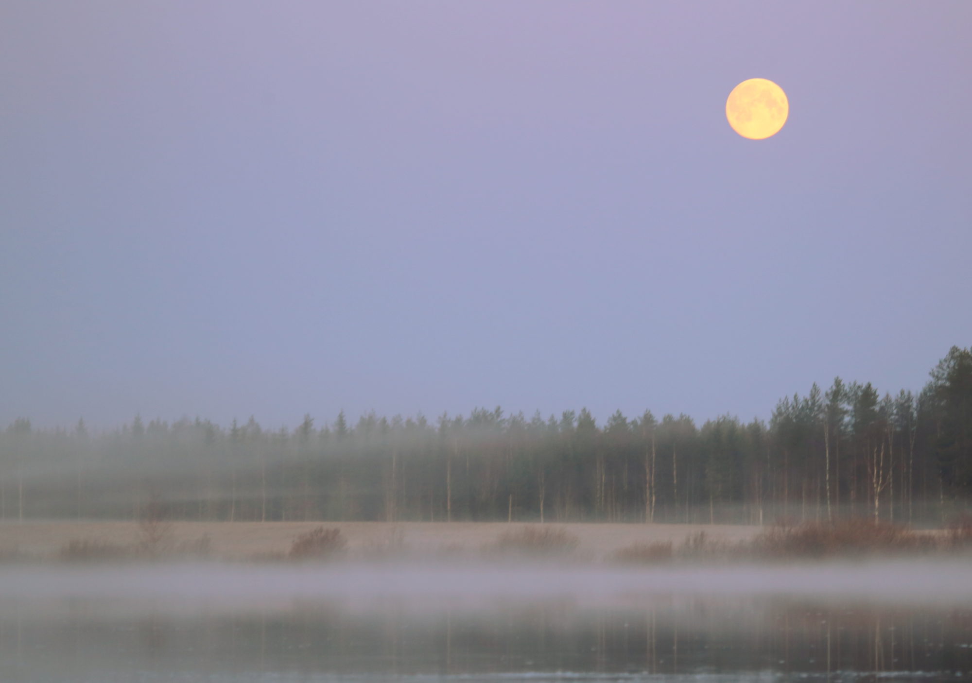 Valokuvaaja: Raija Kokkola