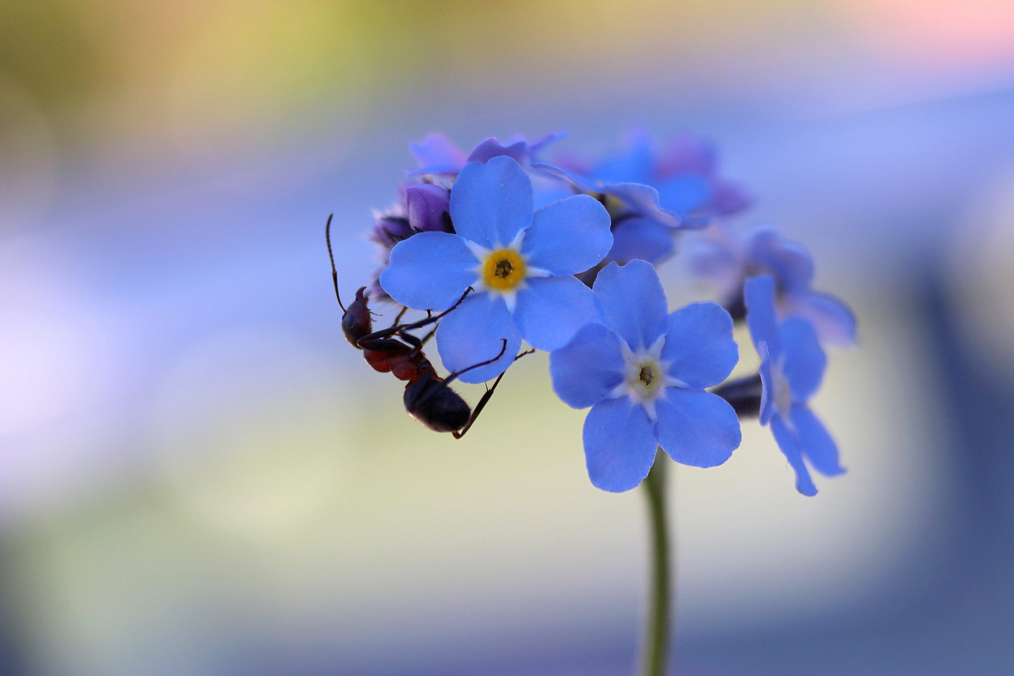 Valokuvaaja: Irja Lehtinen