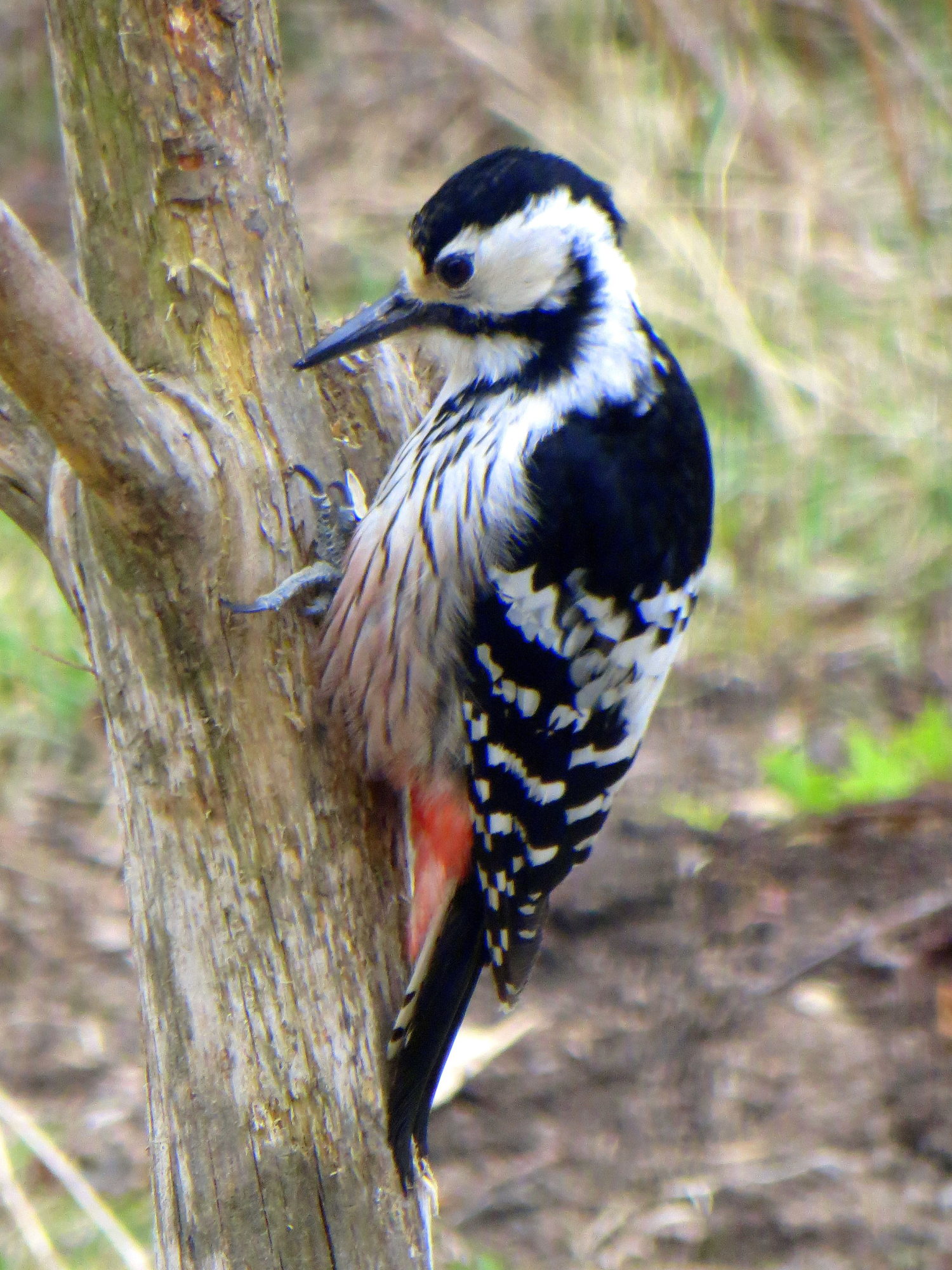 Valokuvaaja: Sirkka Ruotoistenmäki
