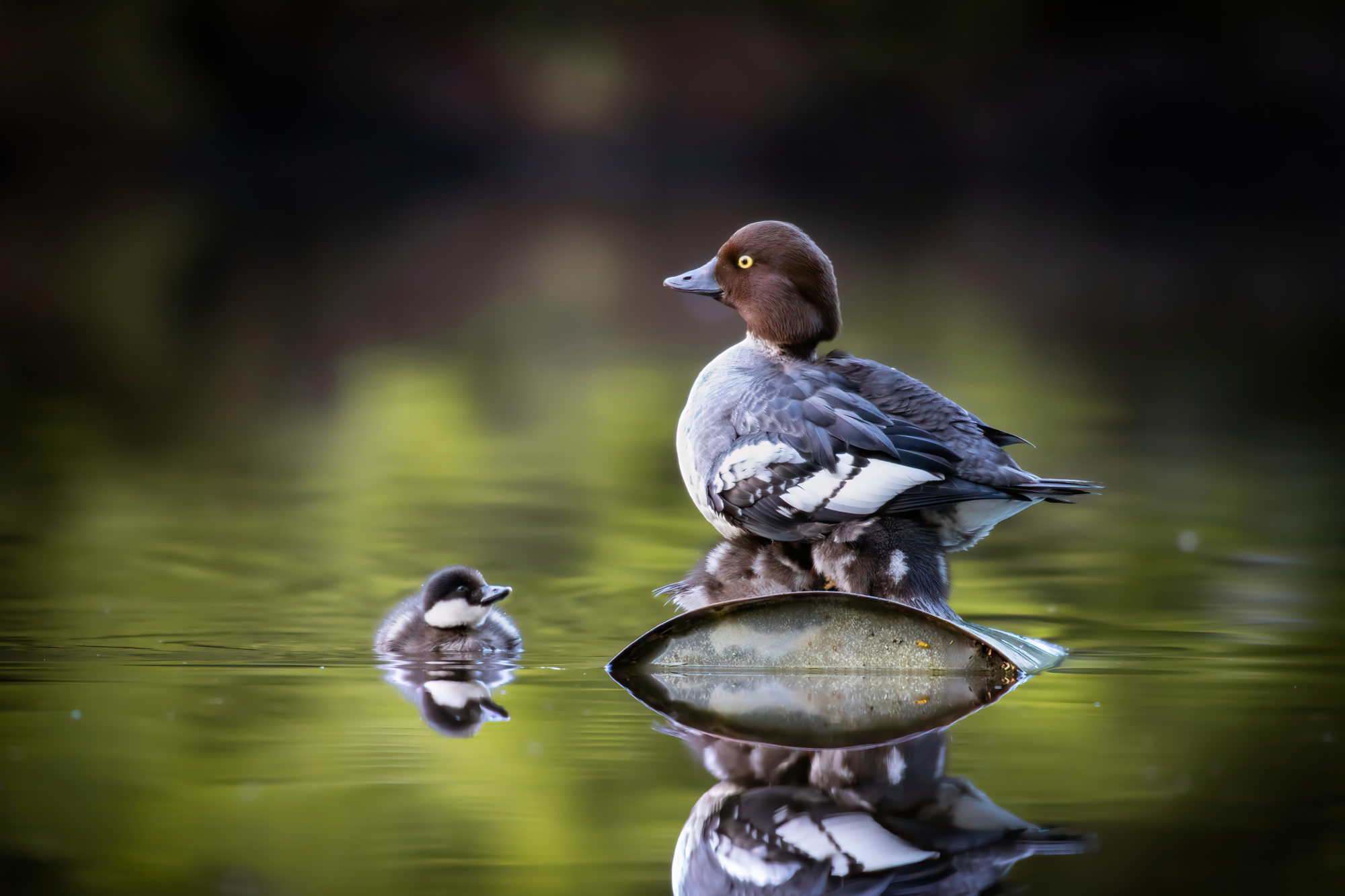 Valokuvaaja: Kimmo Paananen