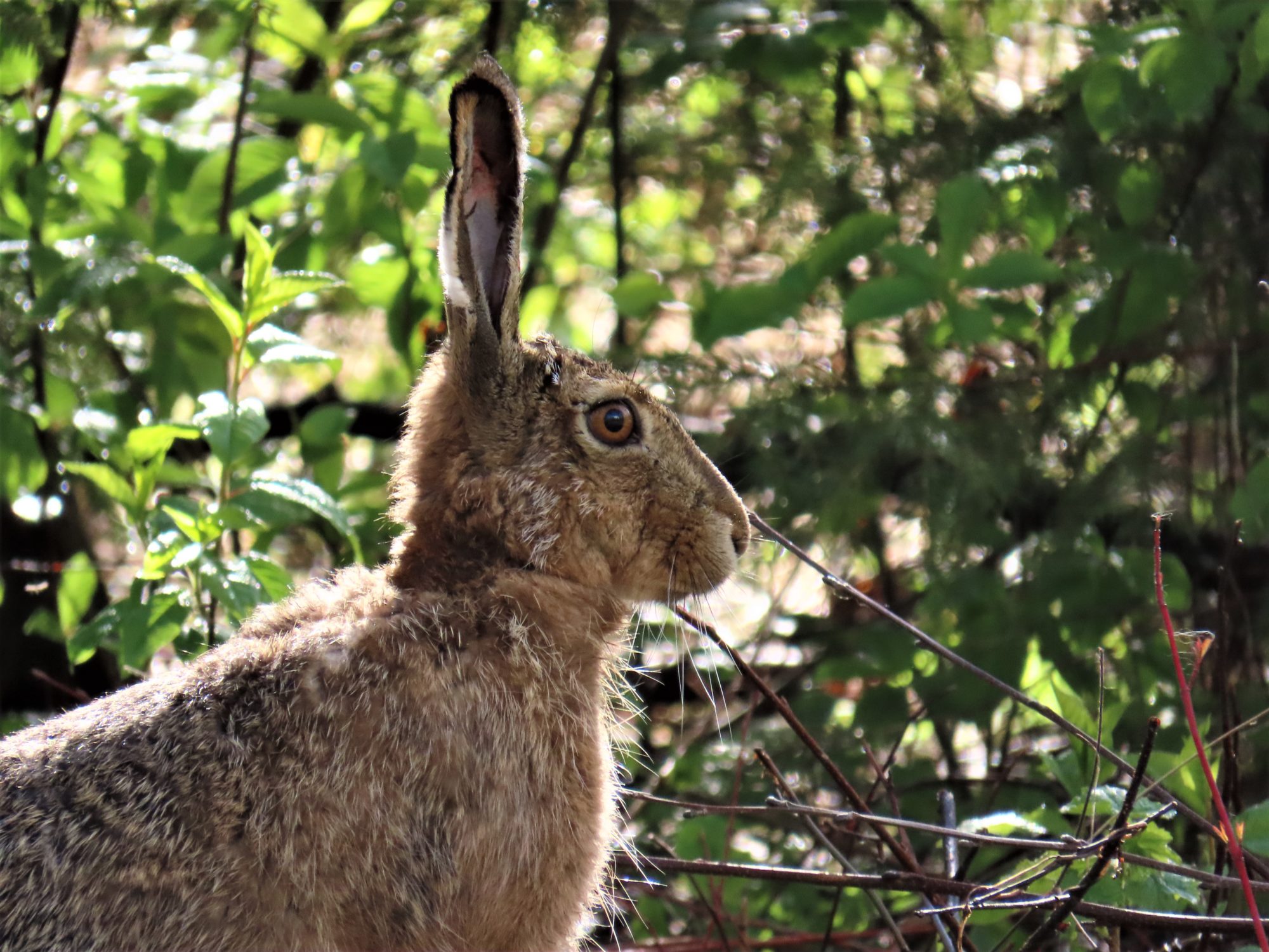 Valokuvaaja: Birgit Silvennoinen
