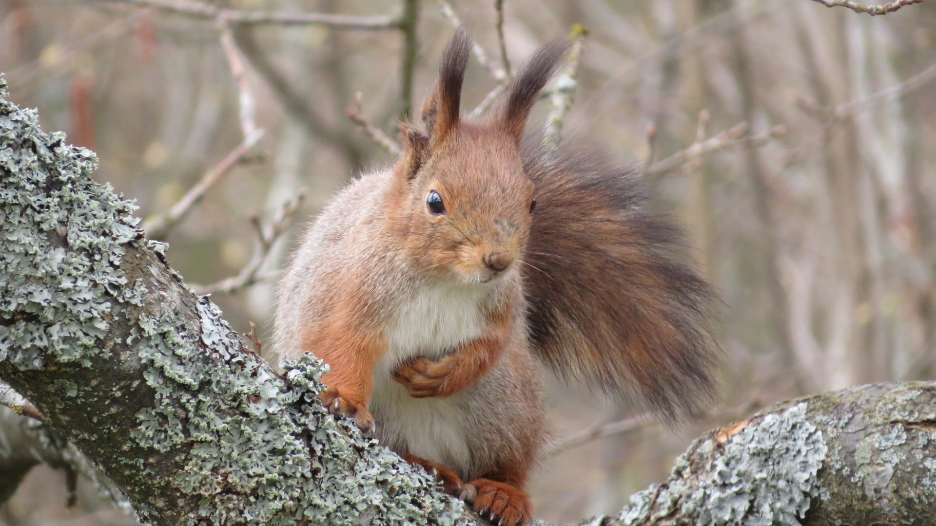 Valokuvaaja: Risto Kangassalo