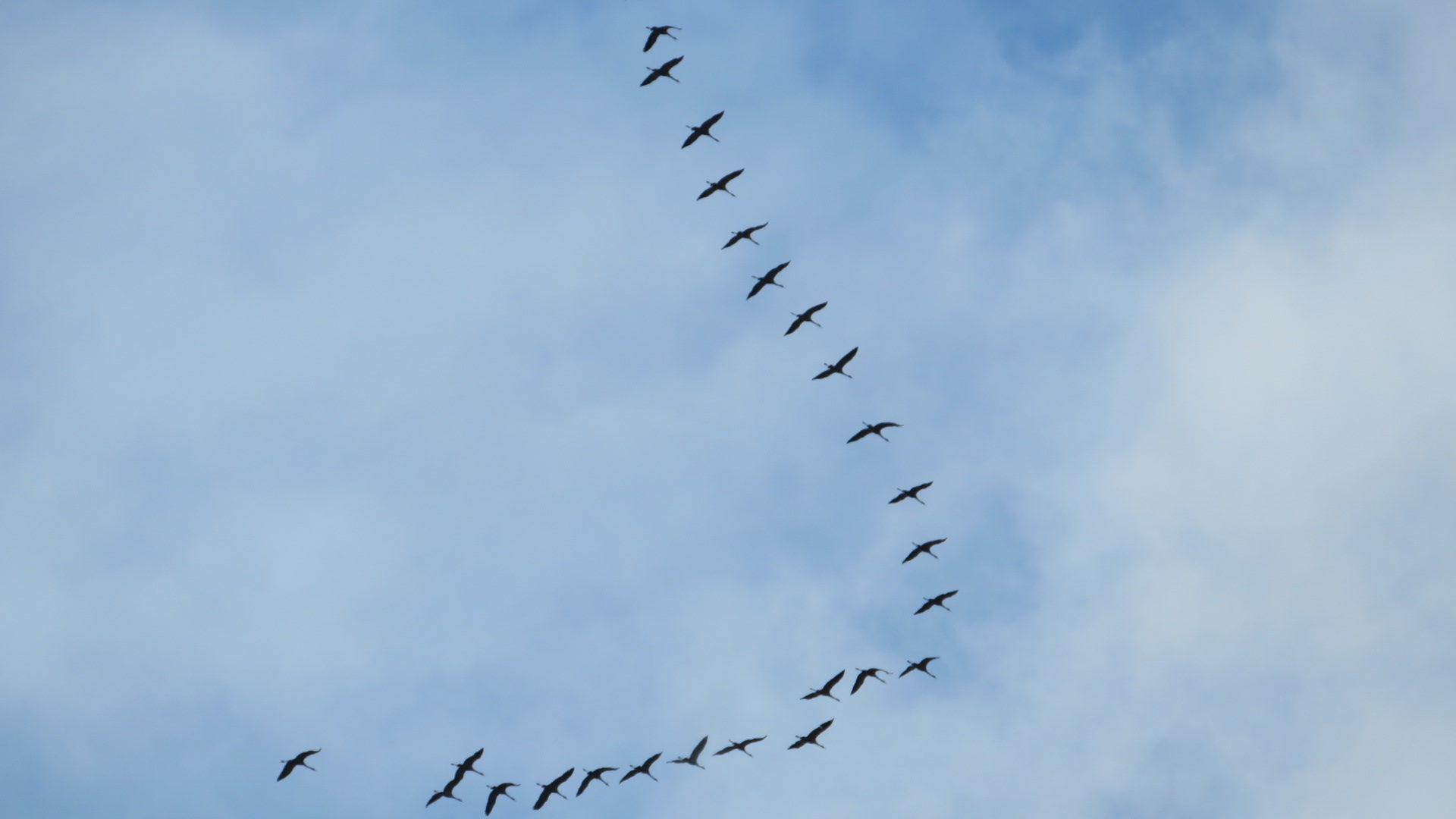 Valokuvaaja: Risto Kangassalo