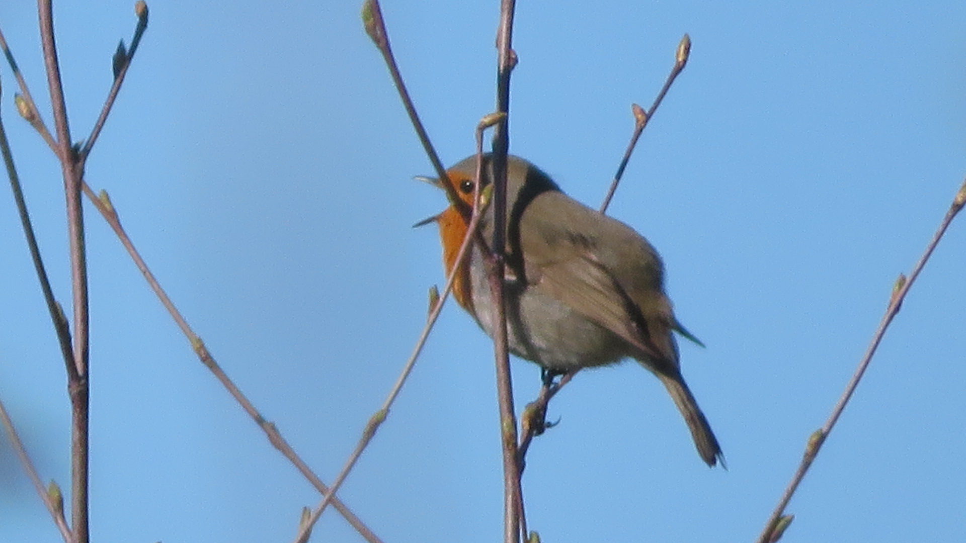Valokuvaaja: Risto Kangassalo