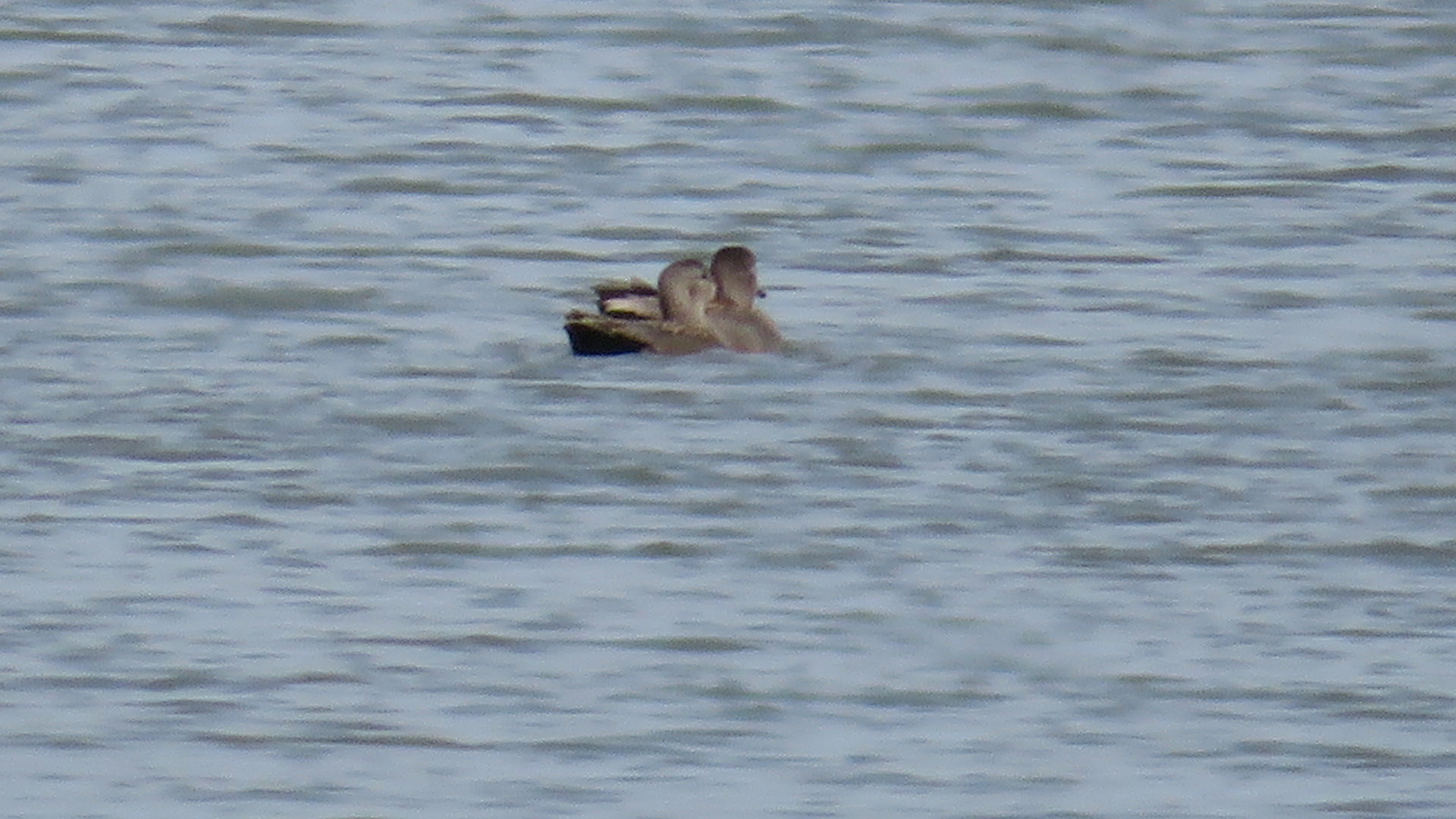 Valokuvaaja: Risto Kangassalo