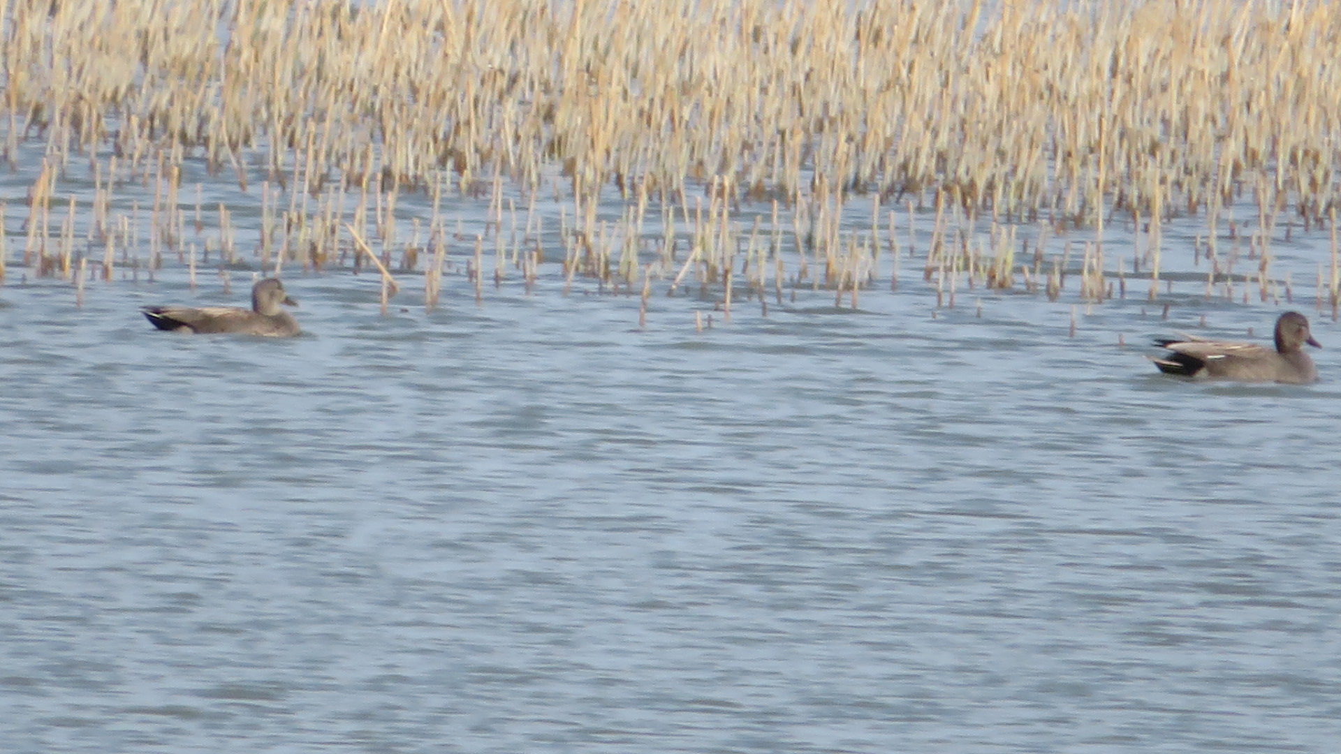 Valokuvaaja: Risto Kangassalo
