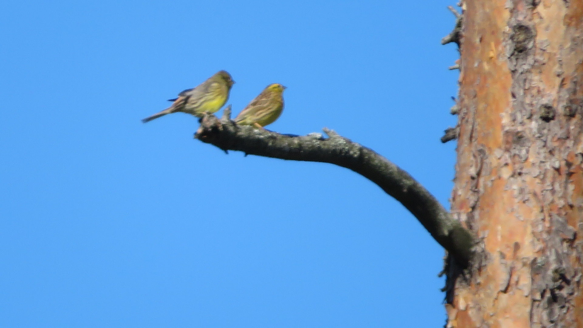 Valokuvaaja: Risto Kangassalo