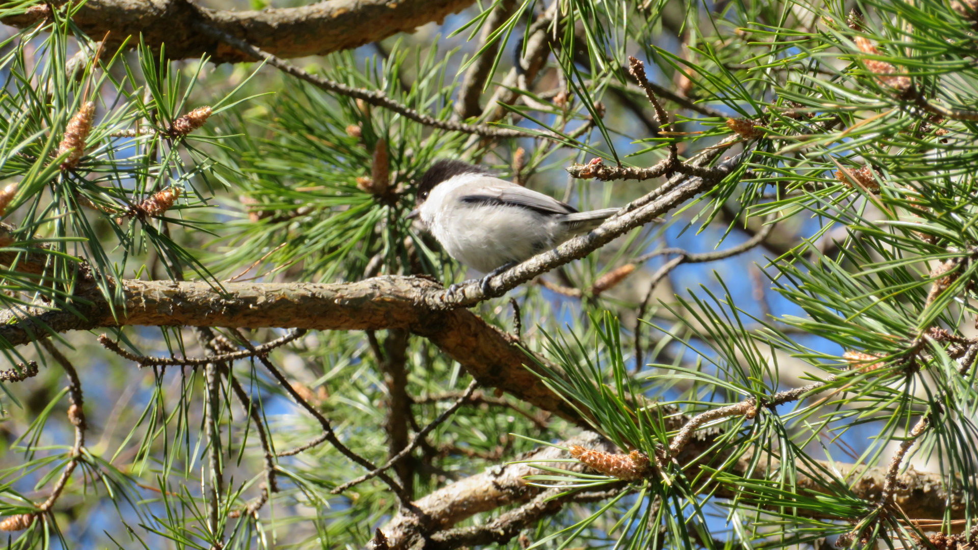Valokuvaaja: Risto Kangassalo