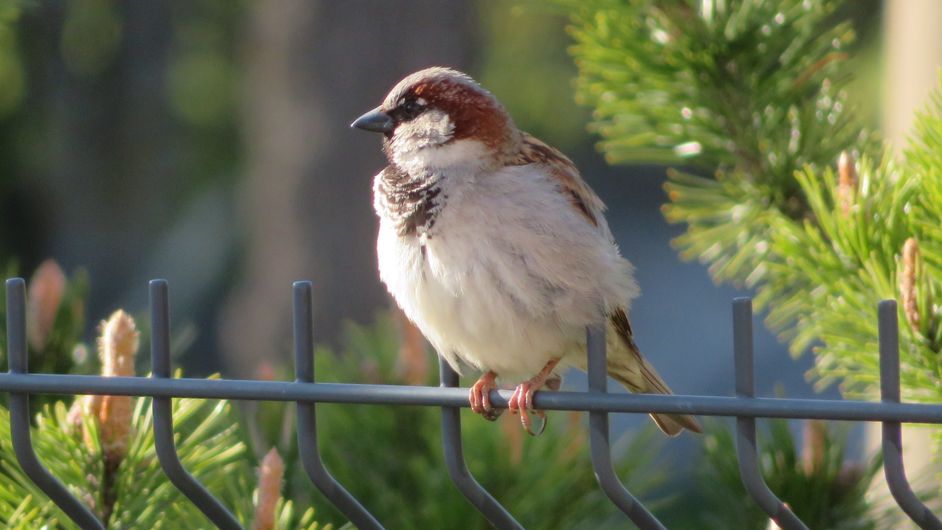 Valokuvaaja: Risto Kangassalo Valokuvaaja: Risto Kangassalo