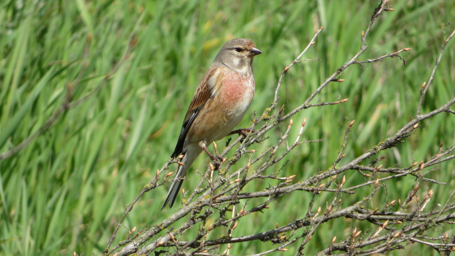 Valokuvaaja: Risto Kangassalo