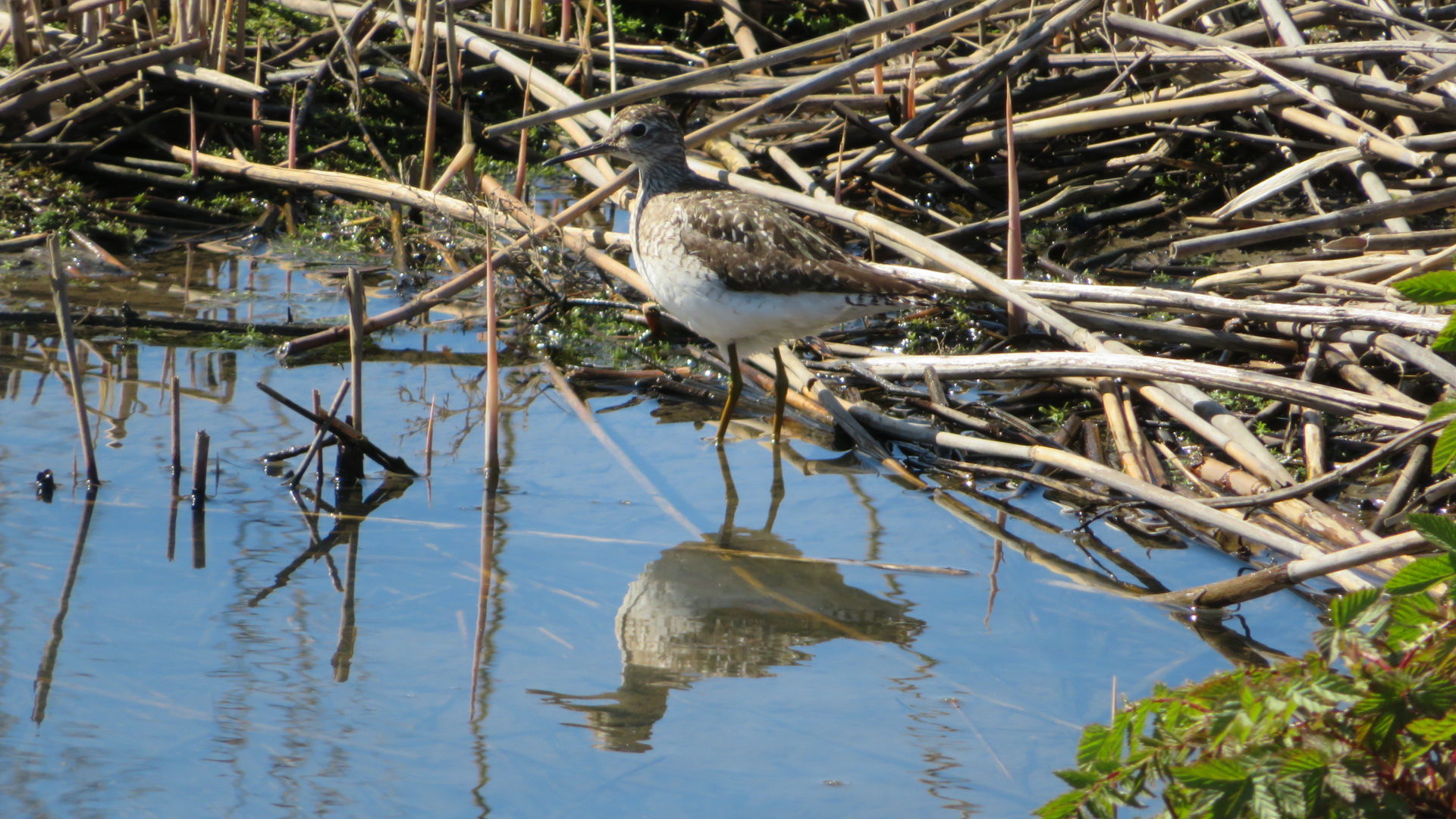 Valokuvaaja: Risto Kangassalo