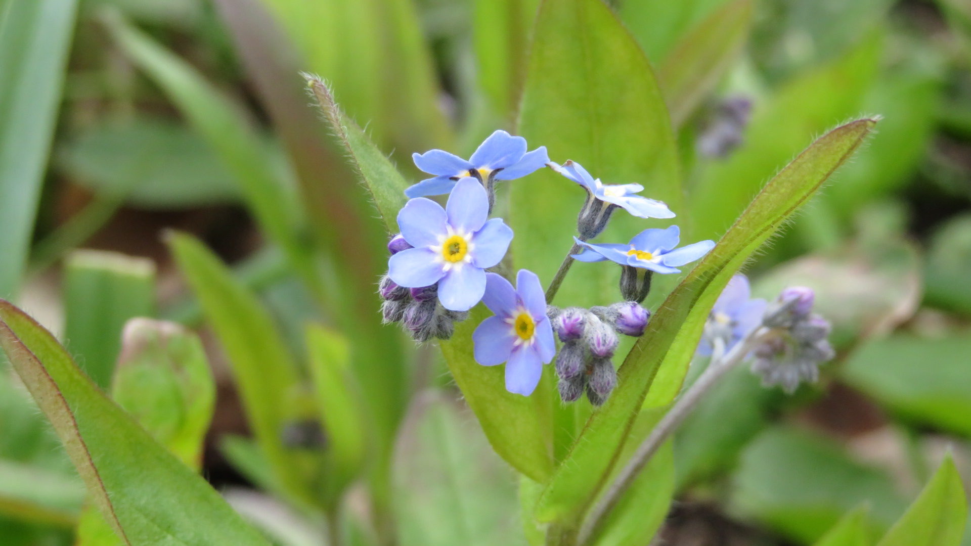 Valokuvaaja: Risto Kangassalo