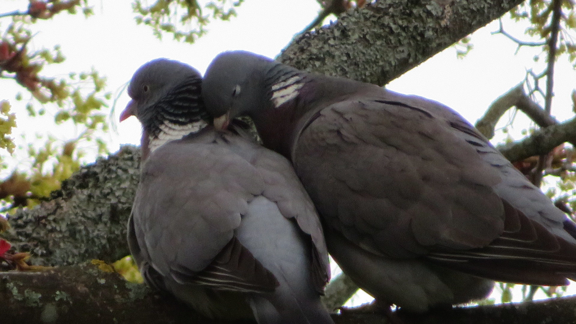 Valokuvaaja: Risto Kangassalo