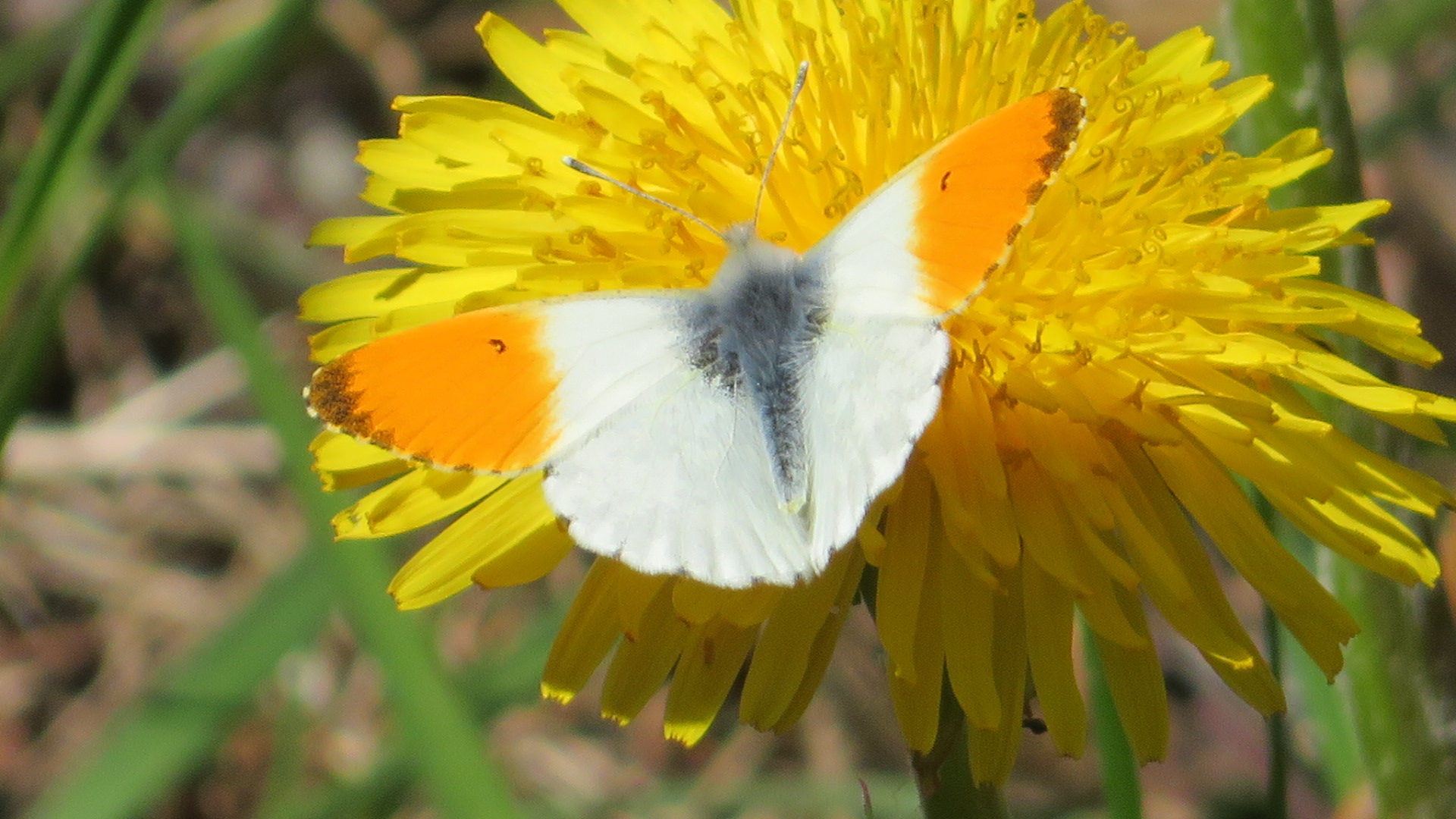 Valokuvaaja: Risto Kangassalo