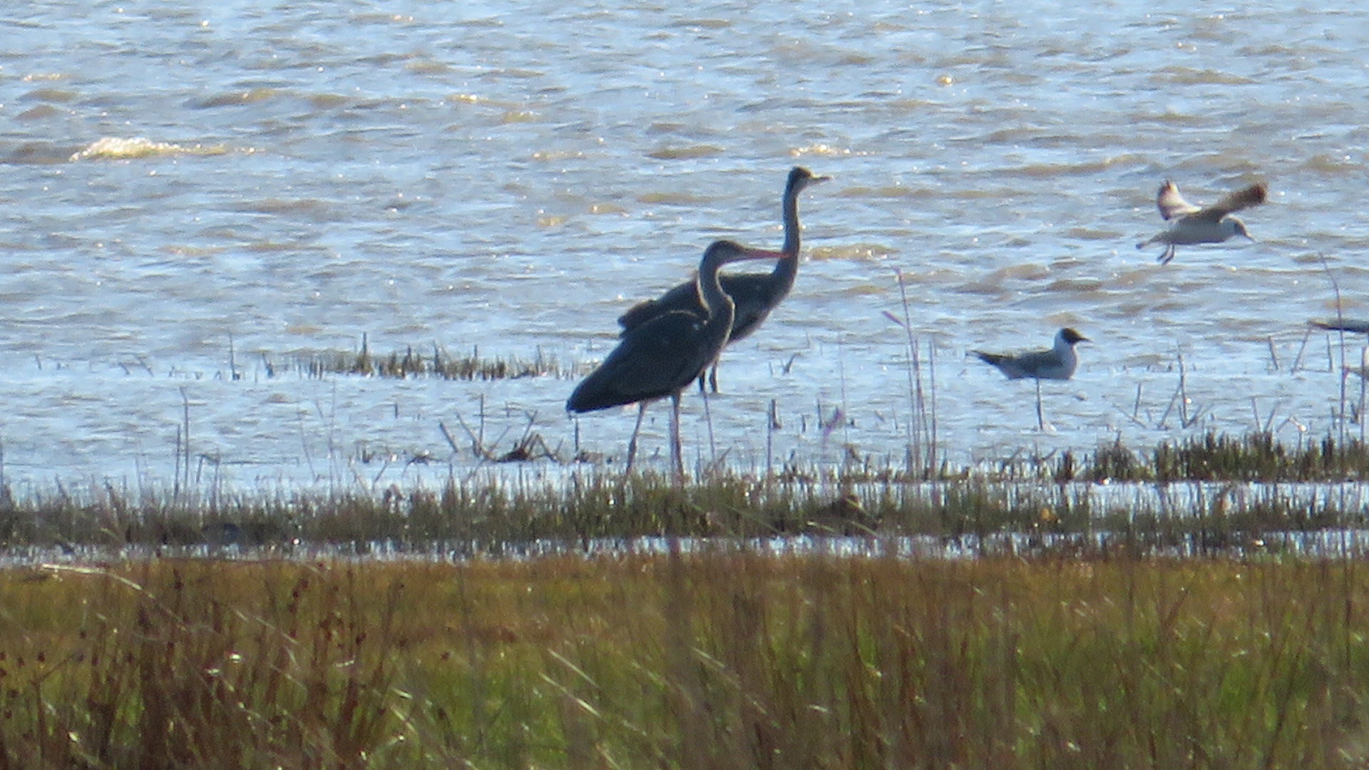 Valokuvaaja: Risto Kangassalo Valokuvaaja: Risto Kangassalo