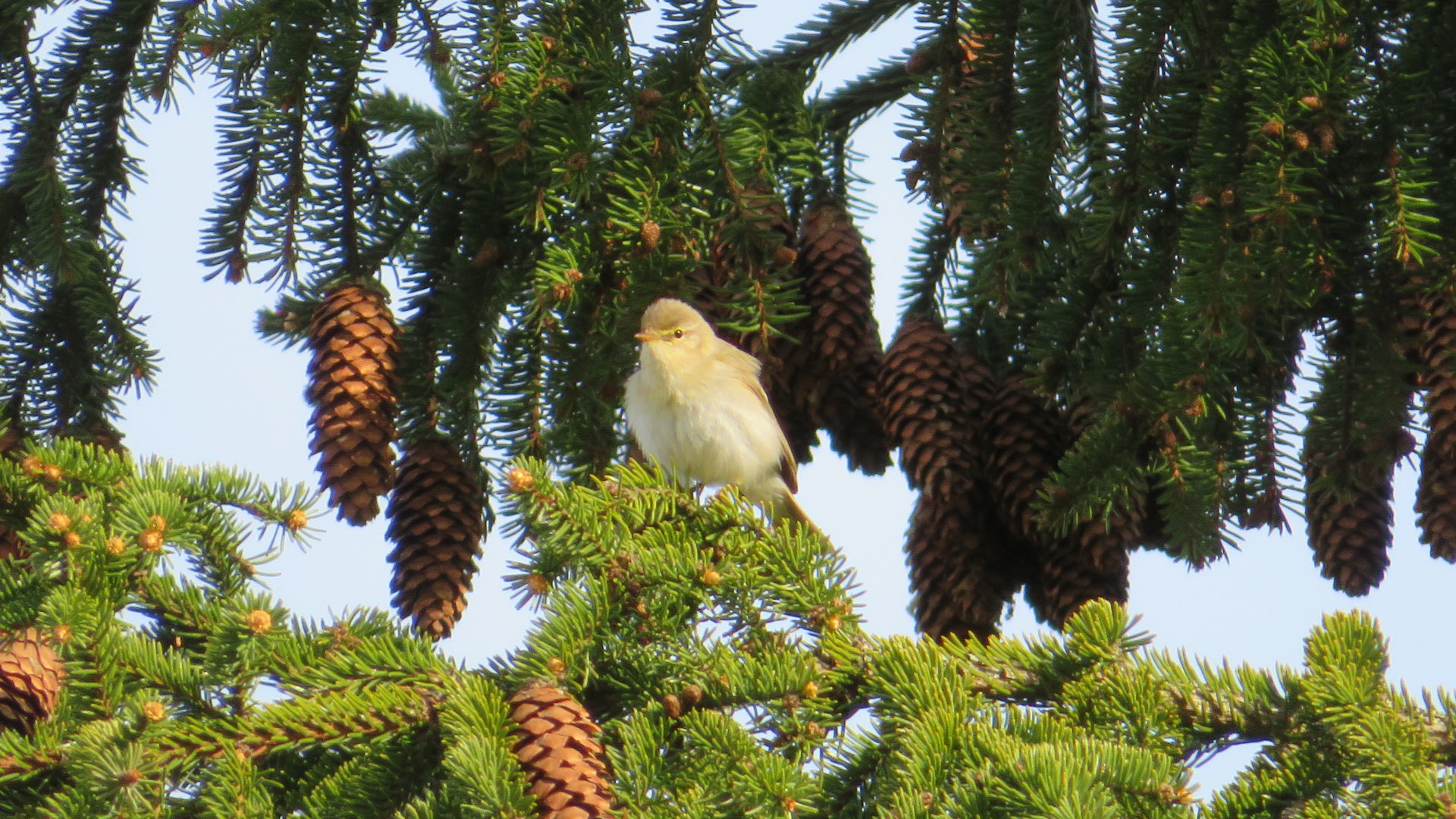 Valokuvaaja: Risto Kangassalo