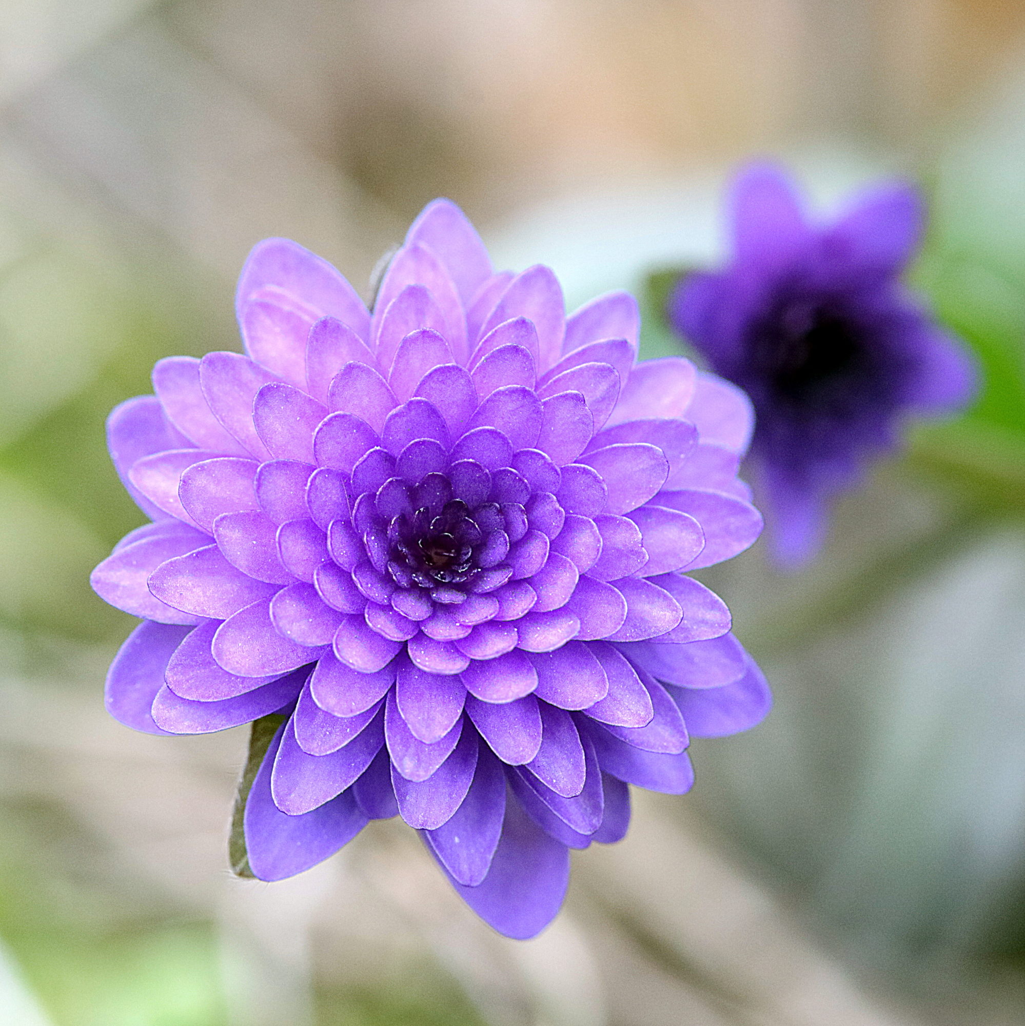 Valokuvaaja: Hannu. Rasiranta