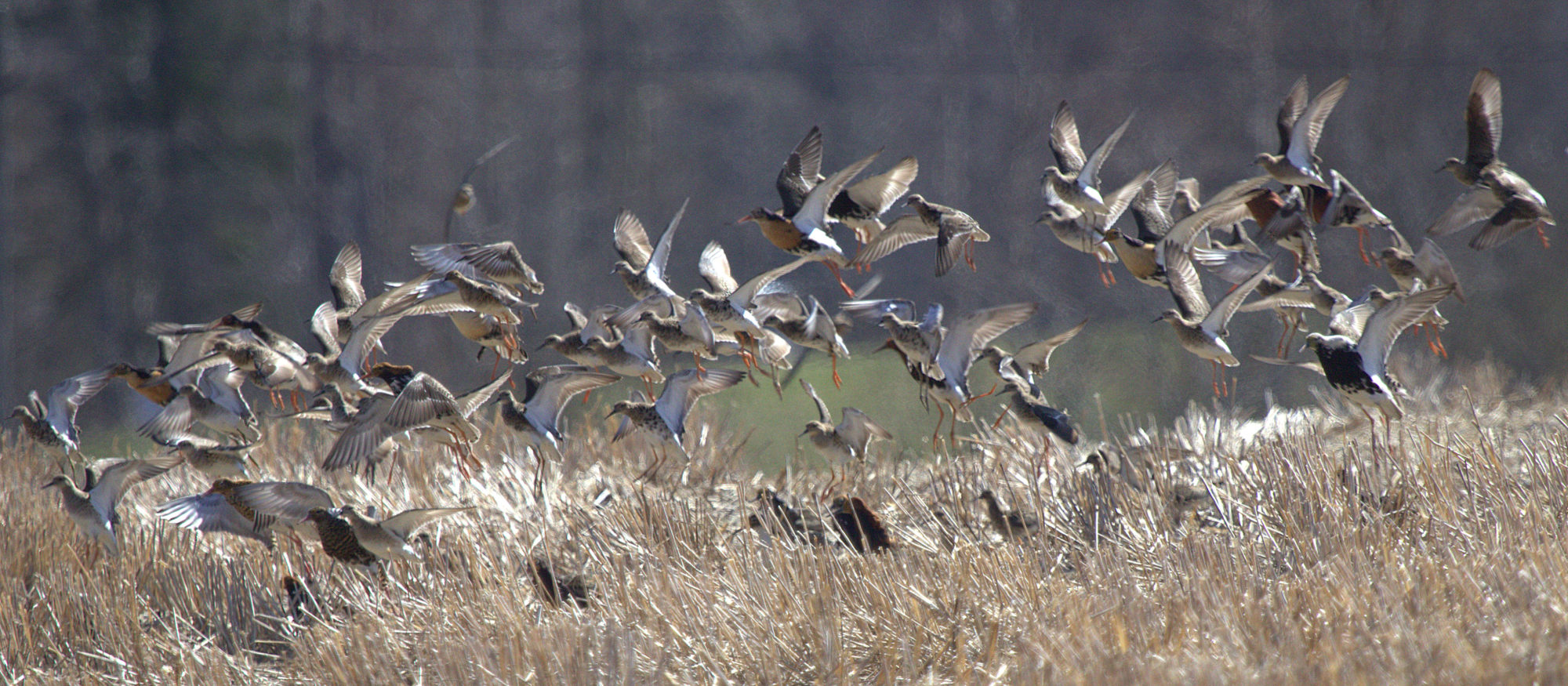 Valokuvaaja: Raija Kokkola