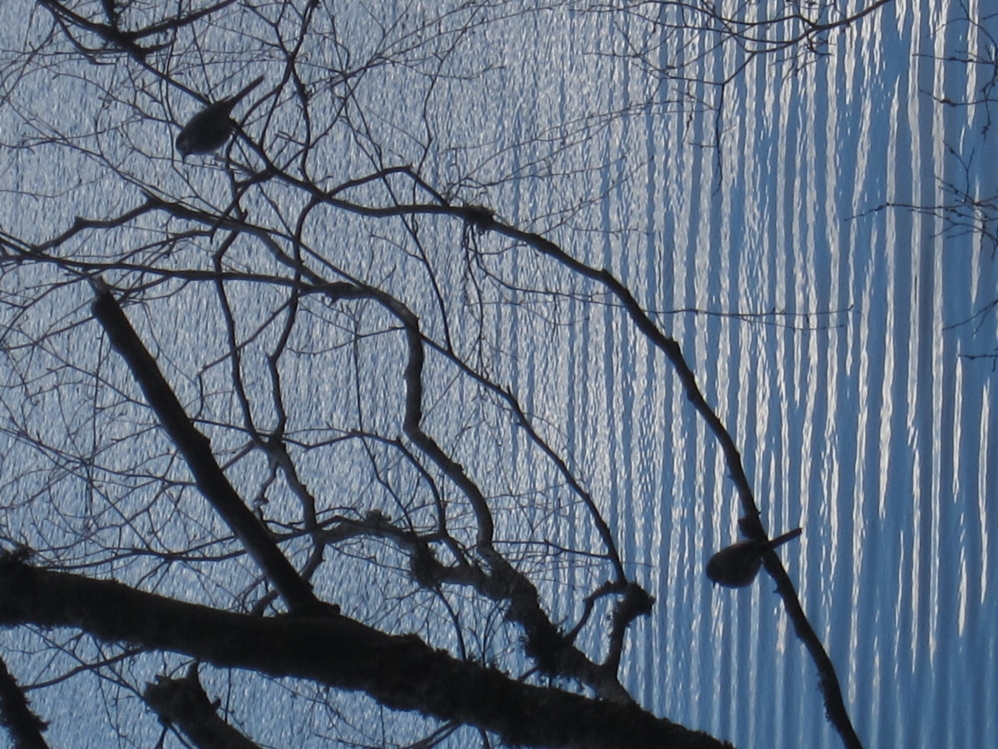 Valokuvaaja: Marita Portin