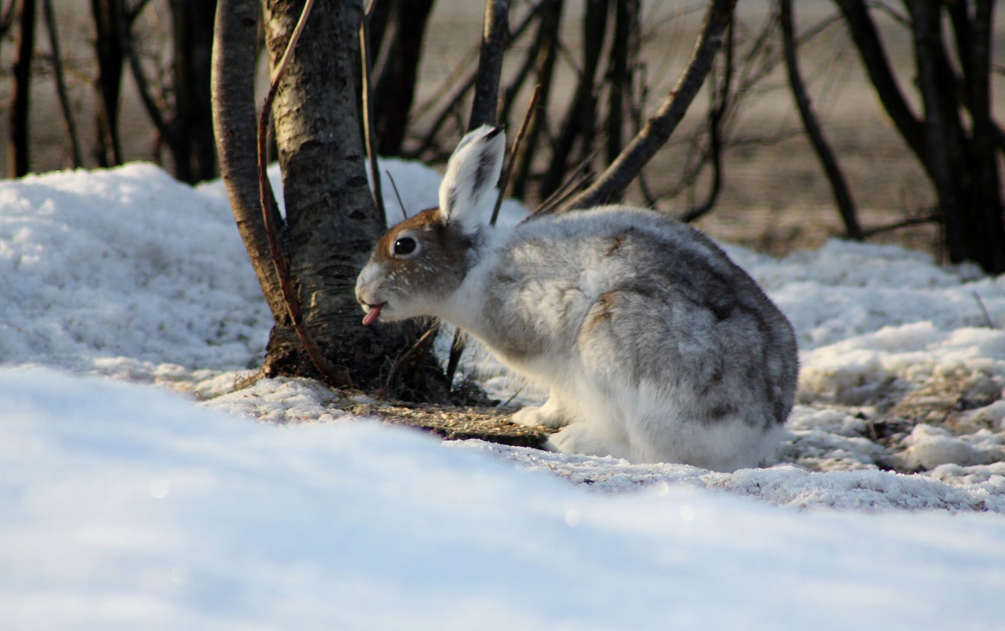 Valokuvaaja: Pirkko Siukonen