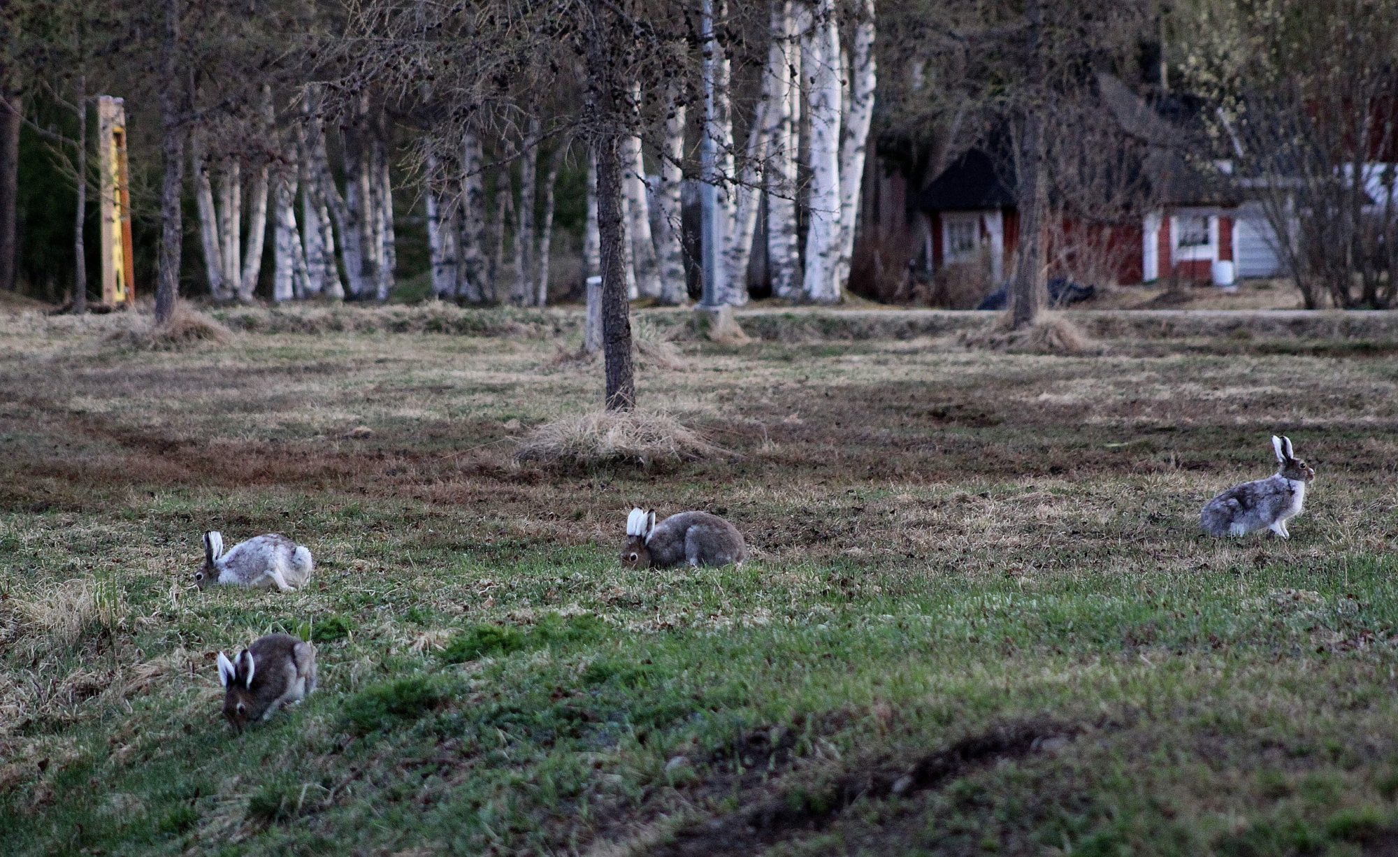 Valokuvaaja: Pirkko Siukonen Valokuvaaja: Pirkko Siukonen