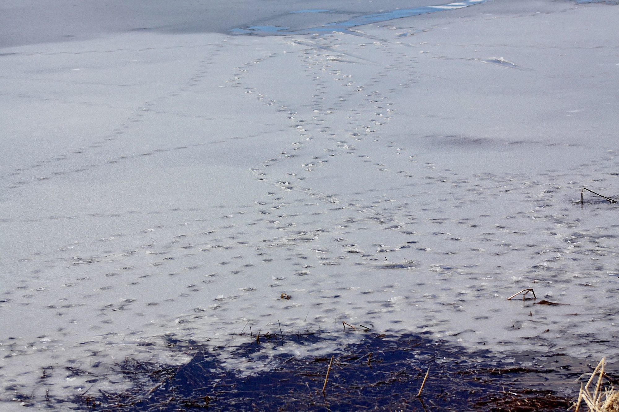 Valokuvaaja: Pirkko Siukonen
