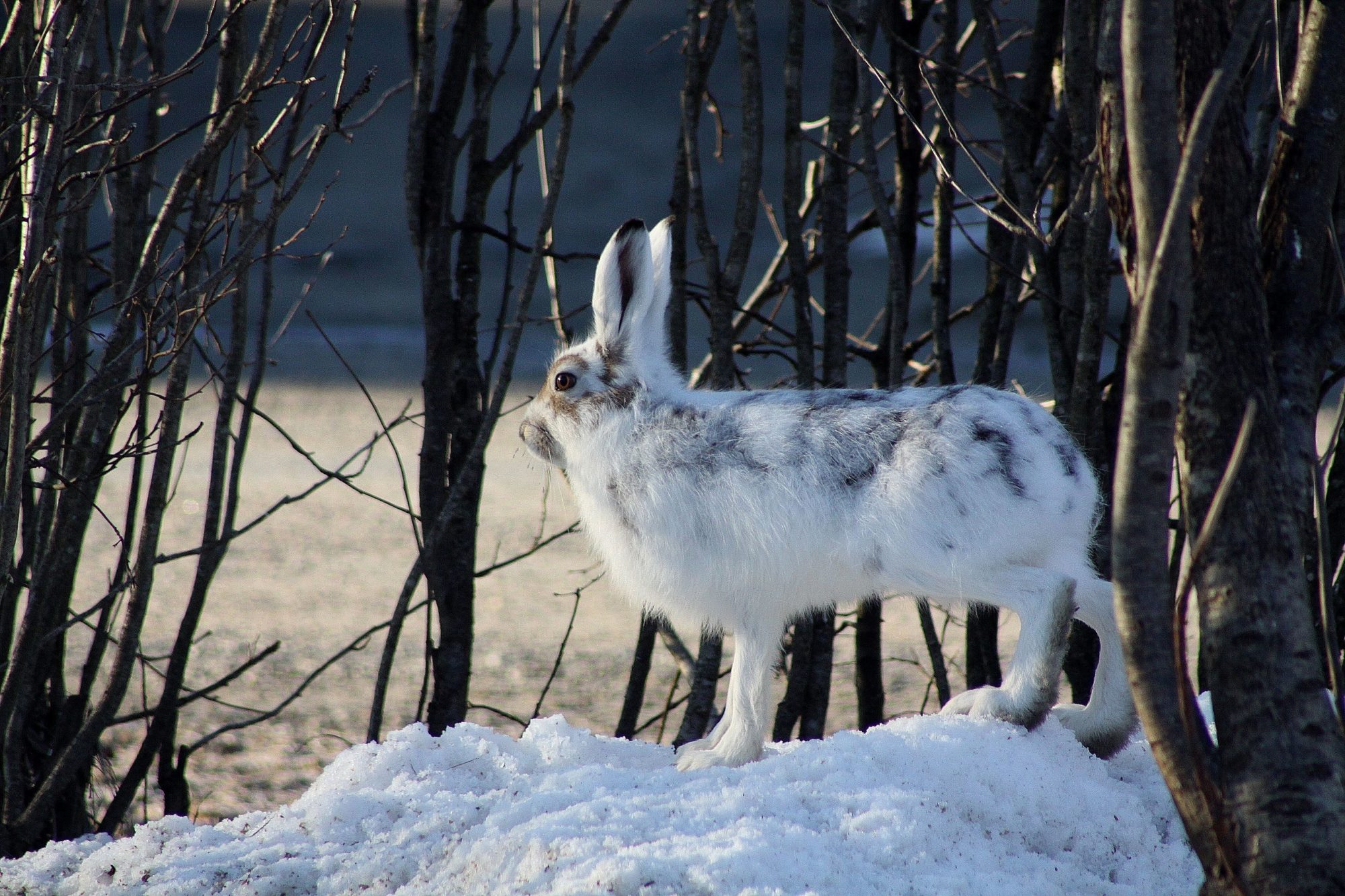 Valokuvaaja: Pirkko Siukonen