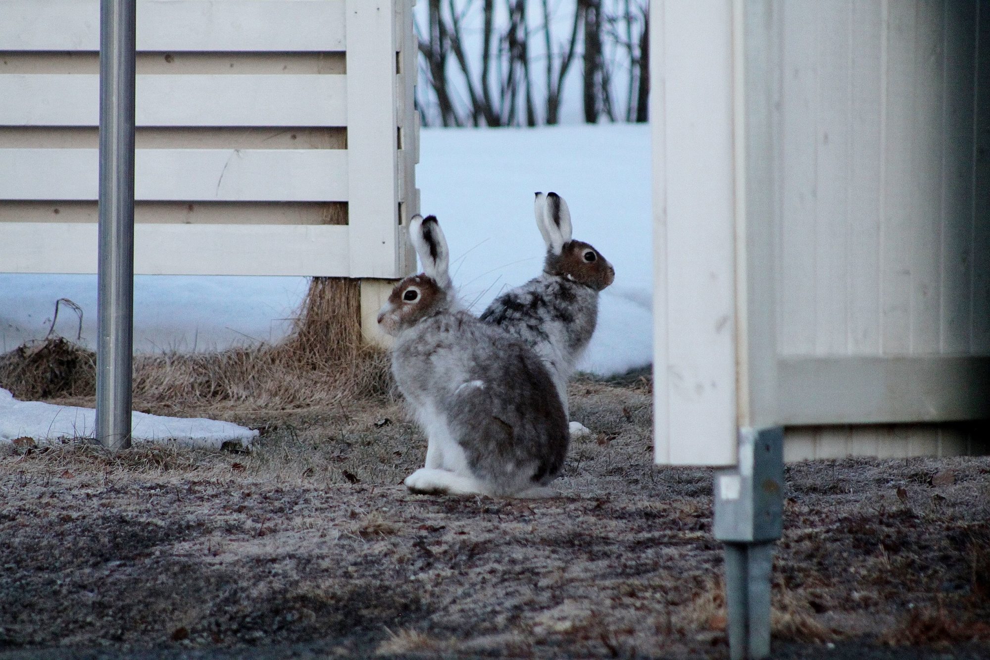 Valokuvaaja: Pirkko Siukonen