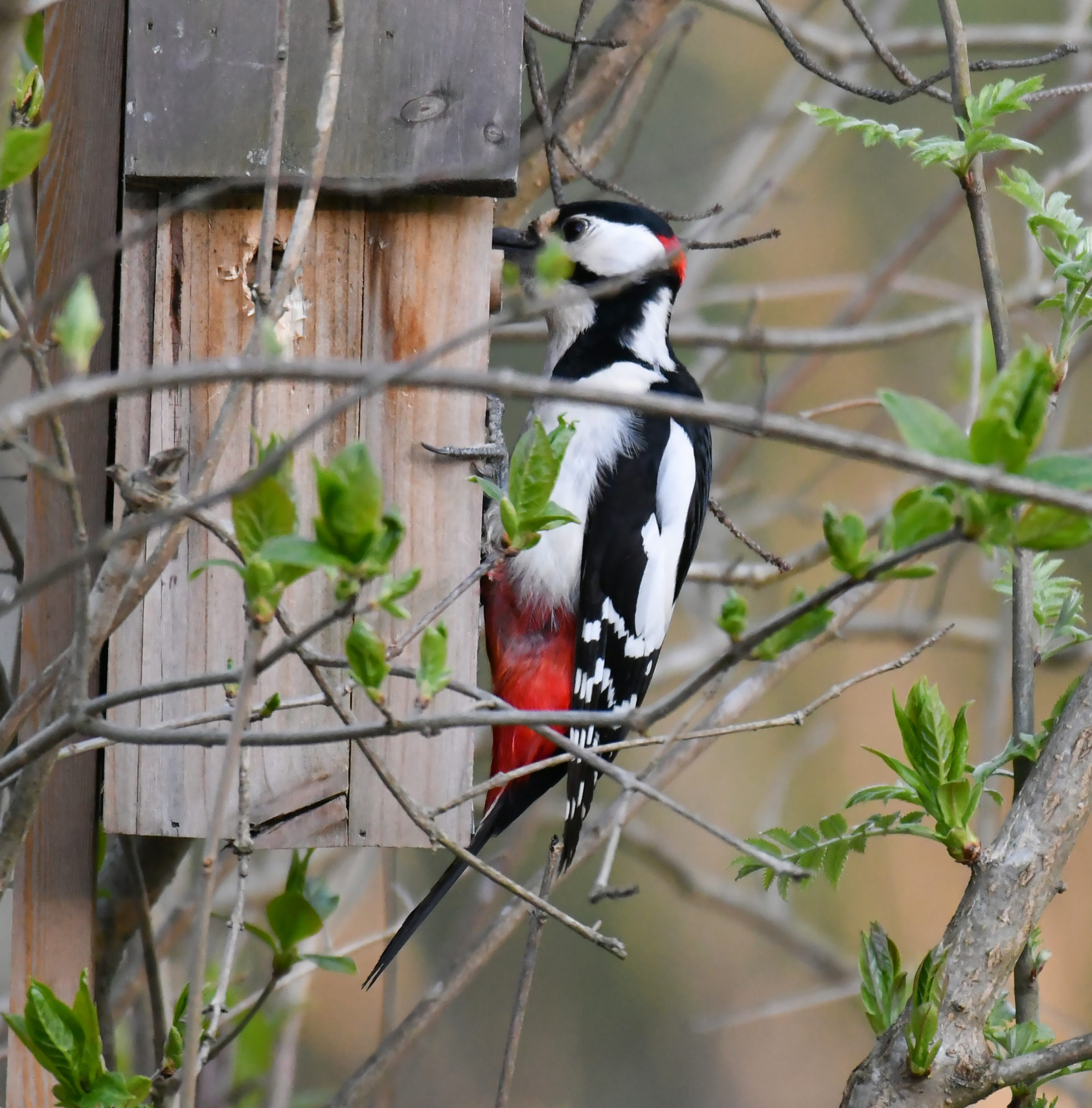 Valokuvaaja: Matti Manninen