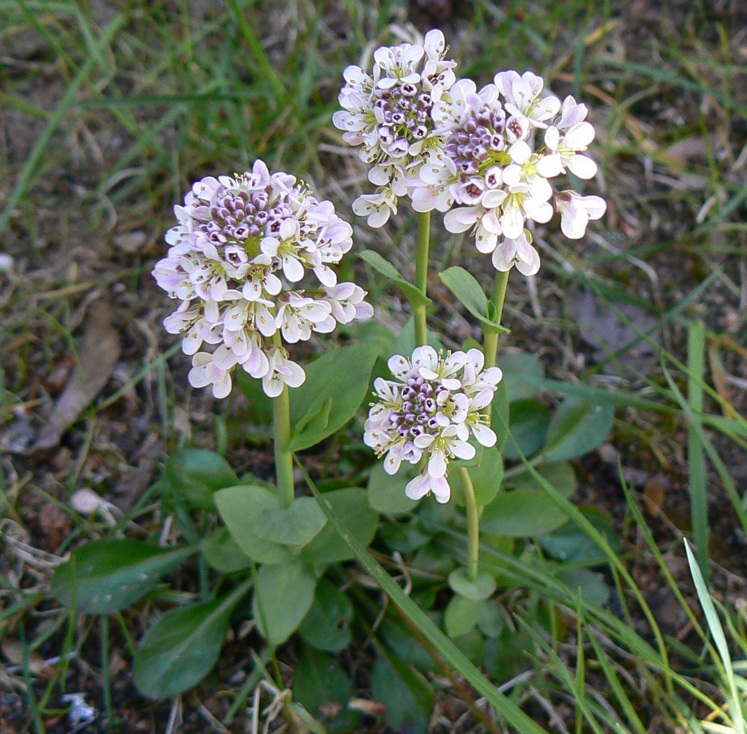 Valokuvaaja: Pekka Heino