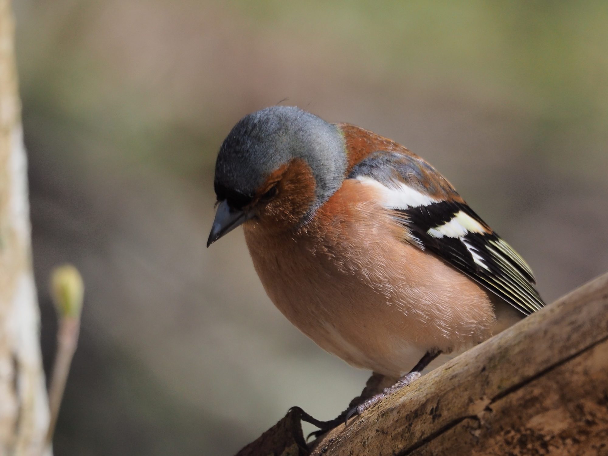 Valokuvaaja: Martti Valtonen