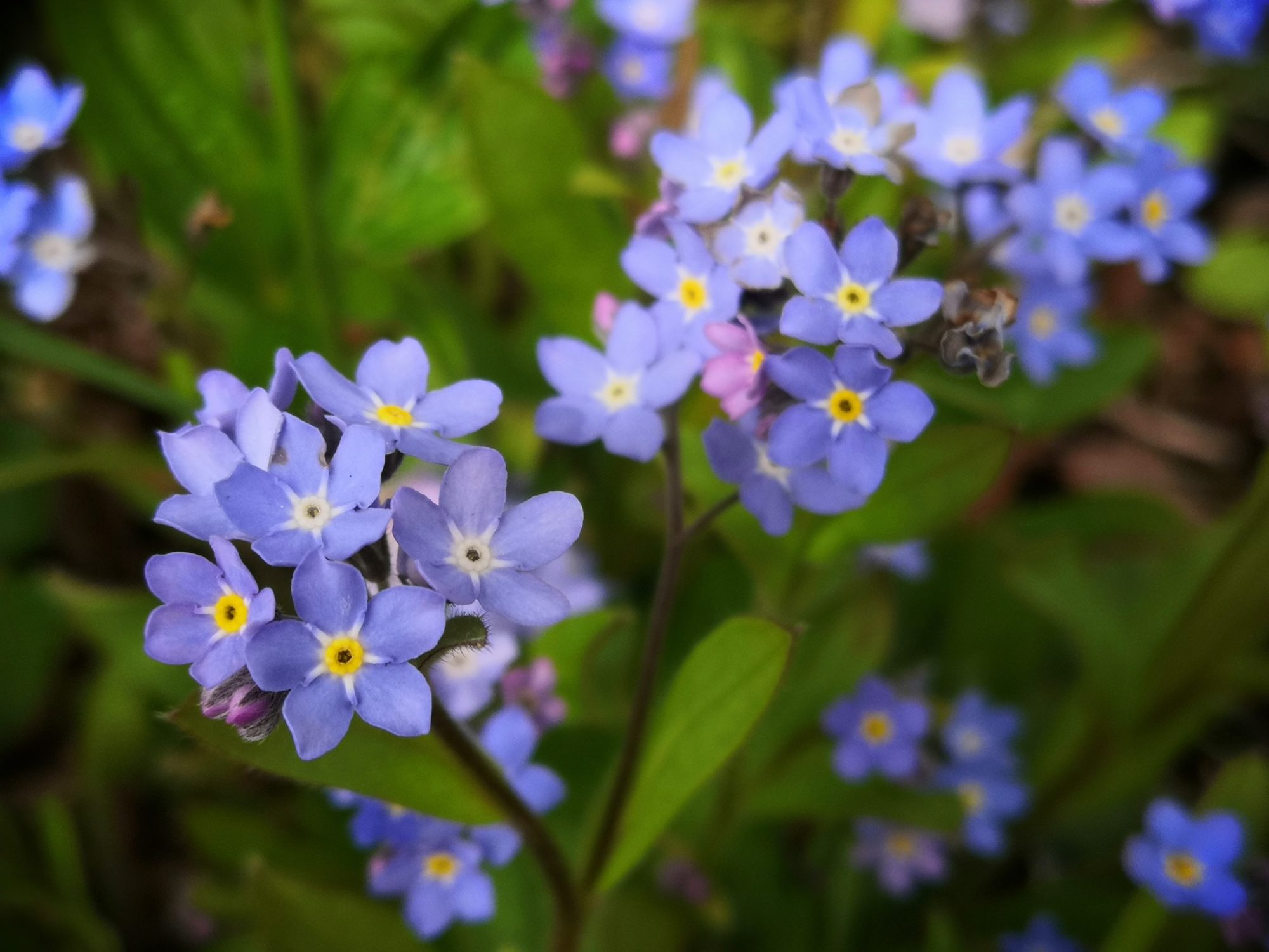Valokuvaaja: Mari Ahtola