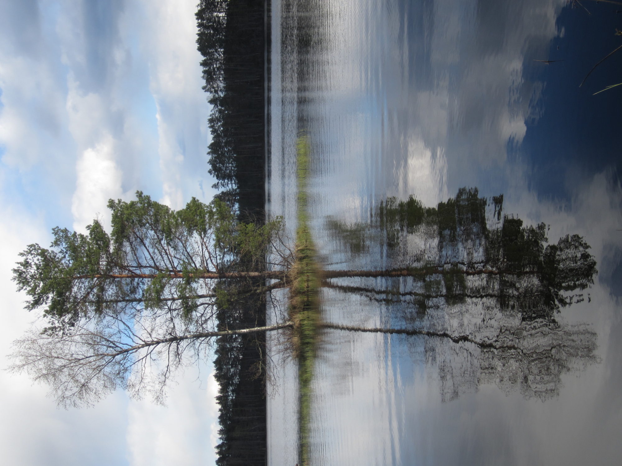 Valokuvaaja: Marita Portin