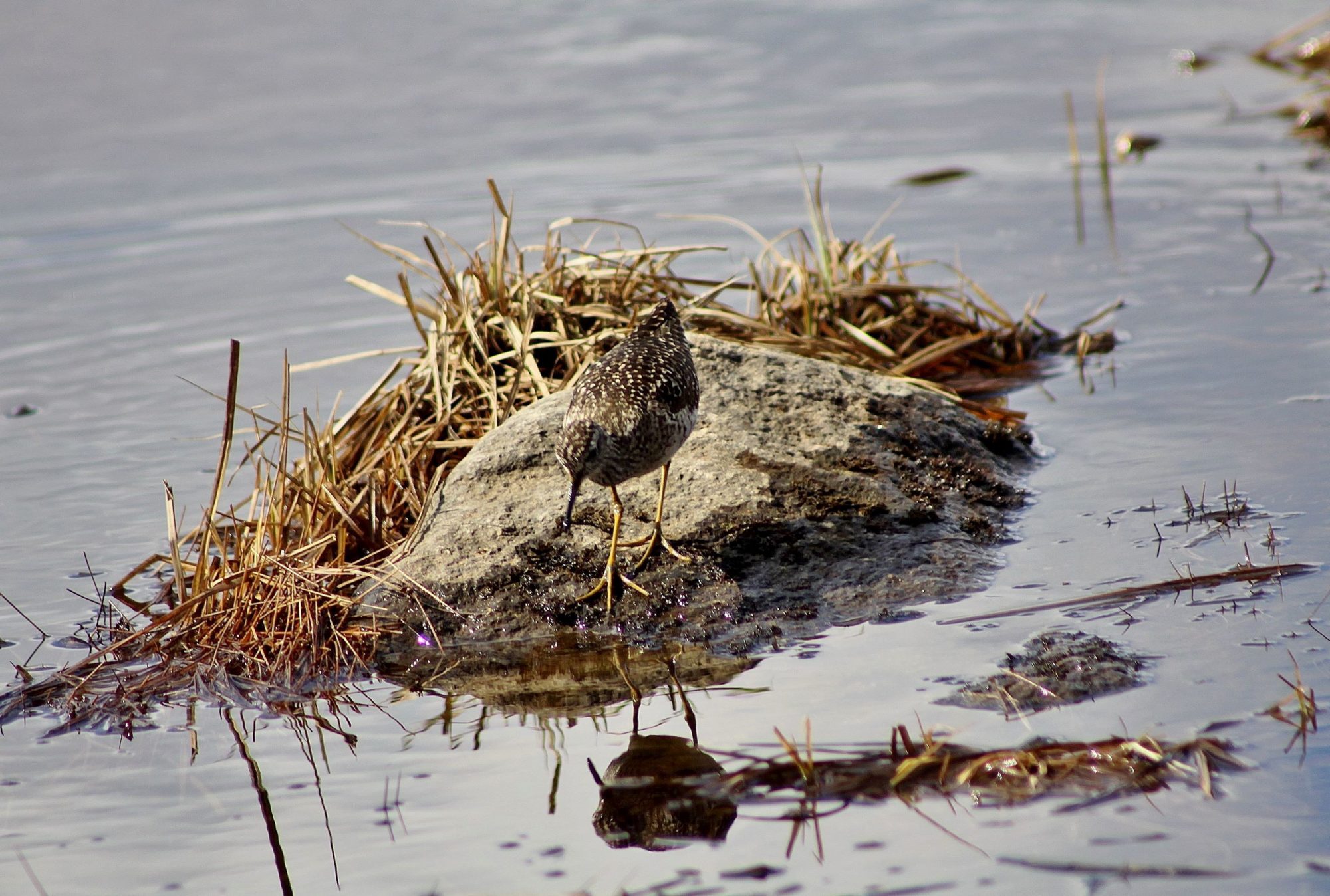 Valokuvaaja: Pirkko Siukonen