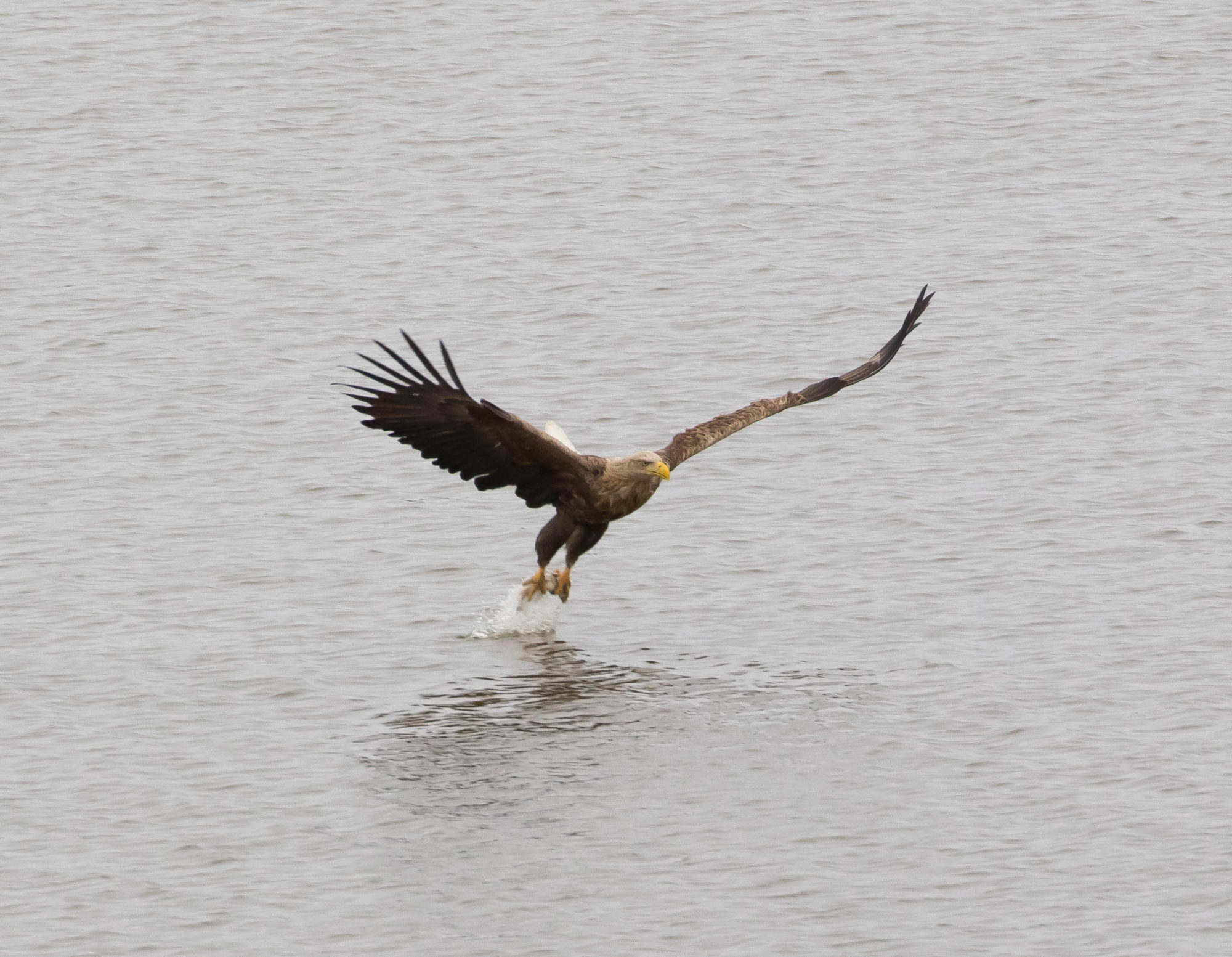 Valokuvaaja: Sami Aaltonen