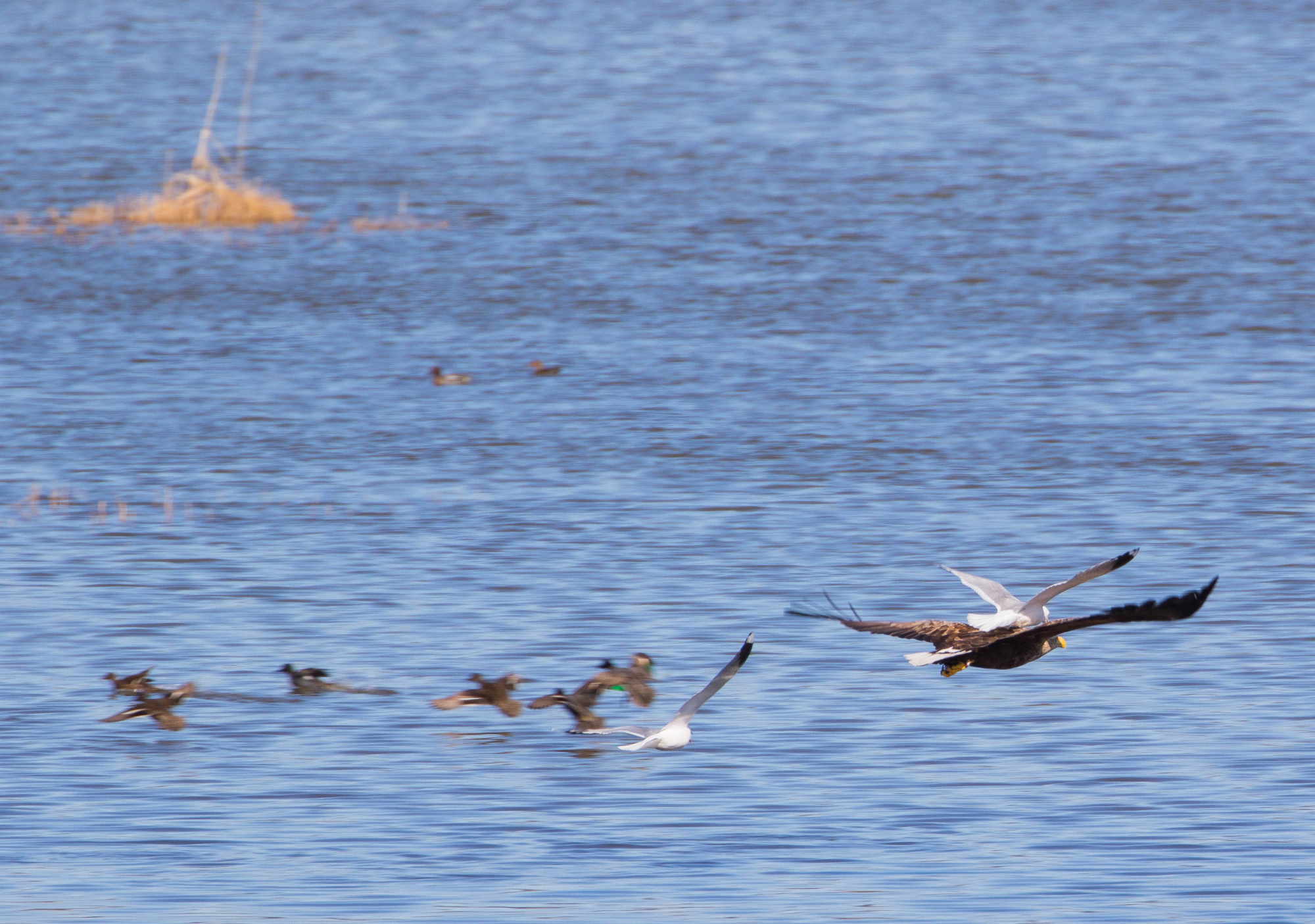 Valokuvaaja: Sami Aaltonen Valokuvaaja: Sami Aaltonen