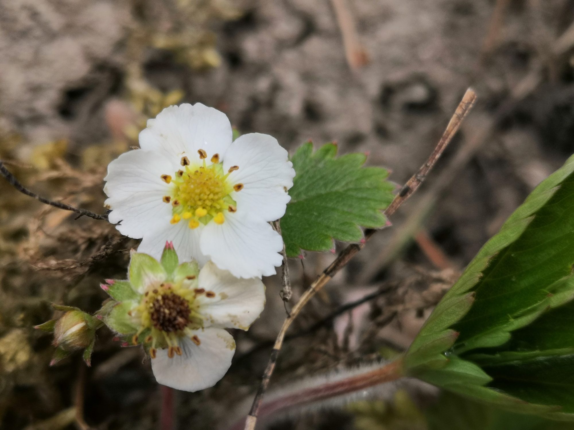 Valokuvaaja: Mari Ahtola