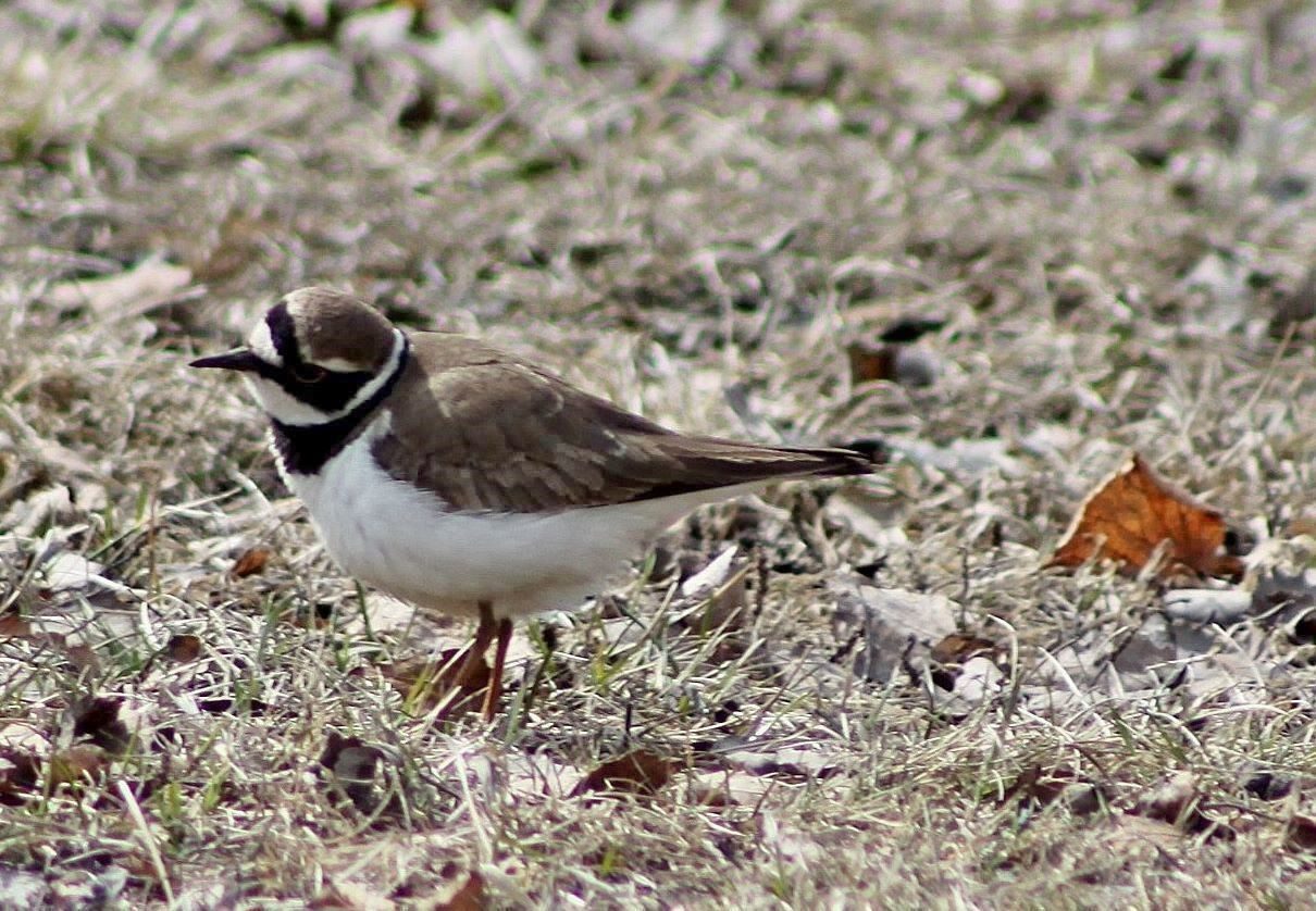 Valokuvaaja: Pirkko Siukonen