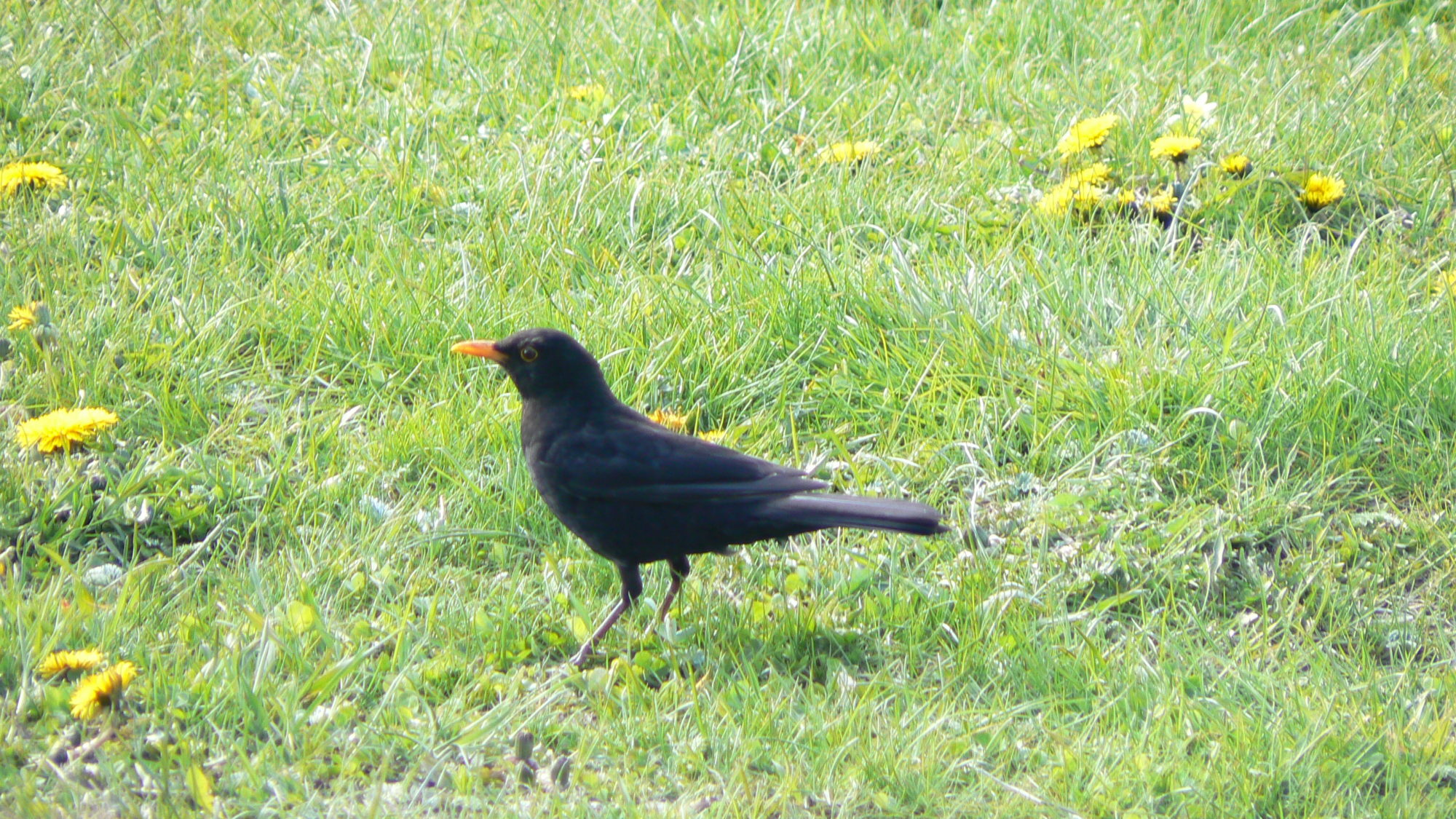 Valokuvaaja: Pekka Heino