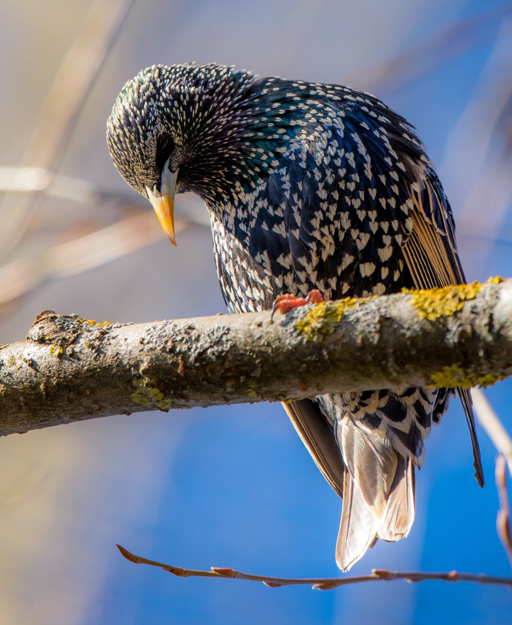 Valokuvaaja: Jukka Risikko