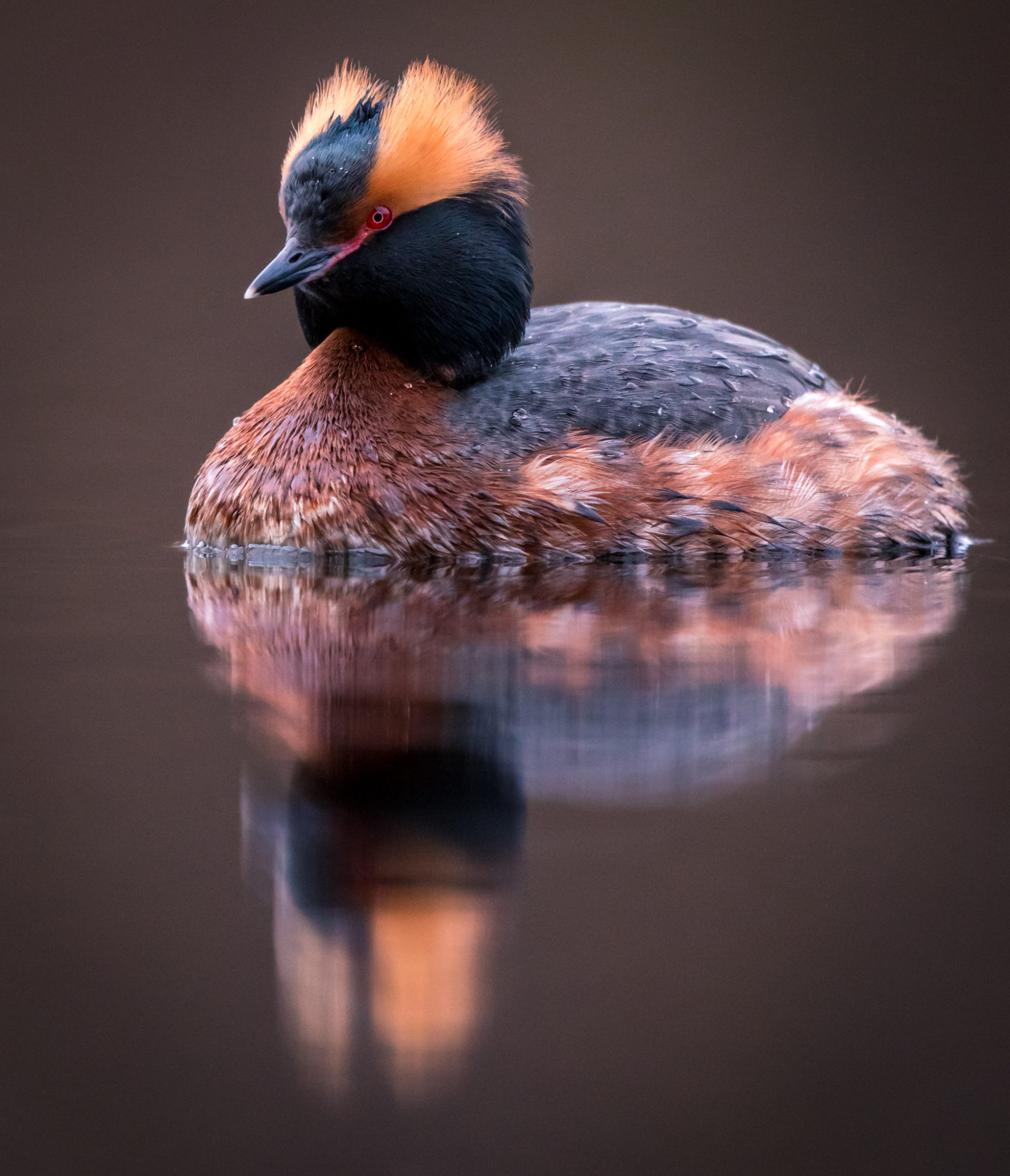 Valokuvaaja: Jukka Risikko